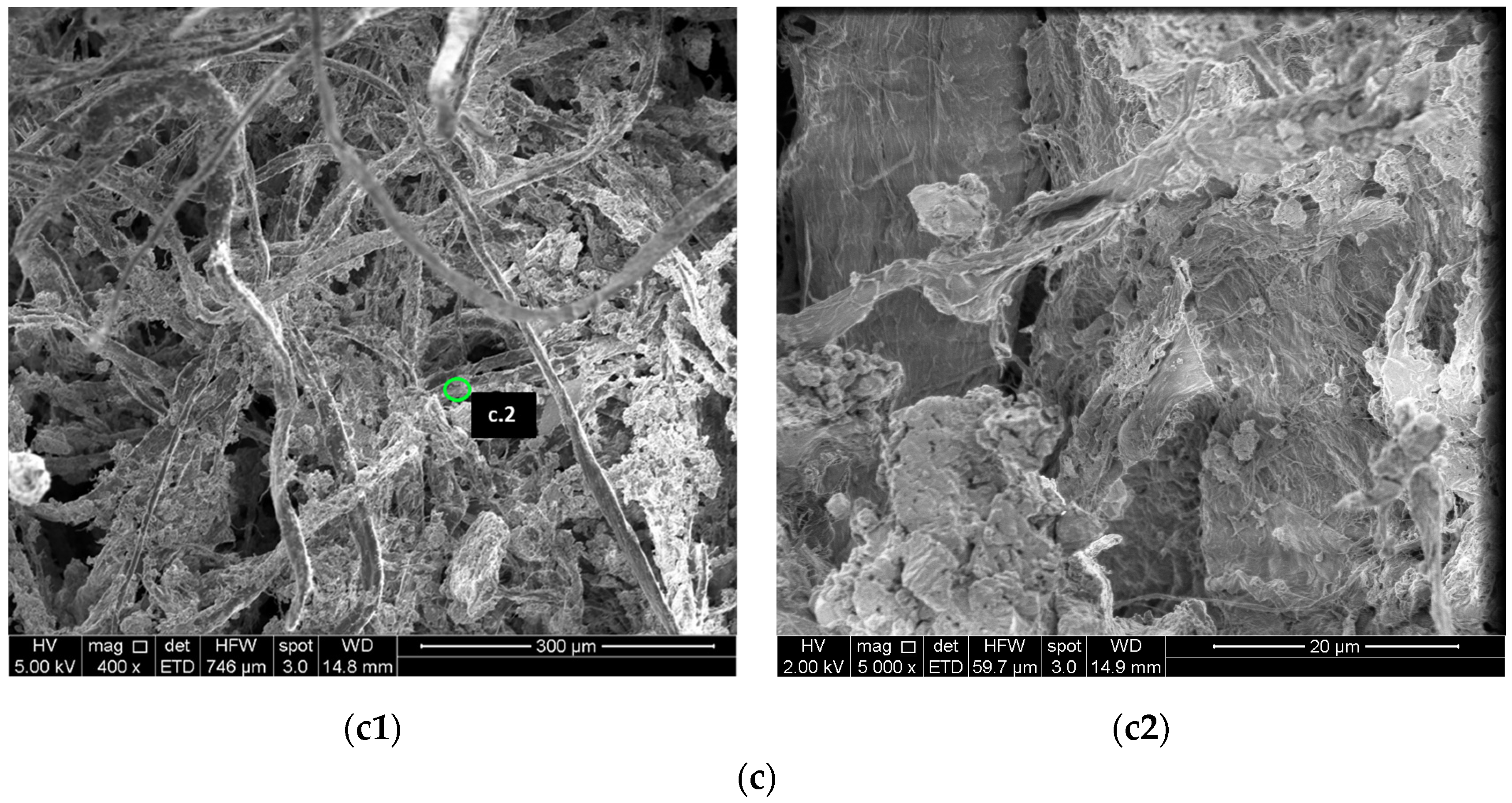 Minerals 14 00240 g003b