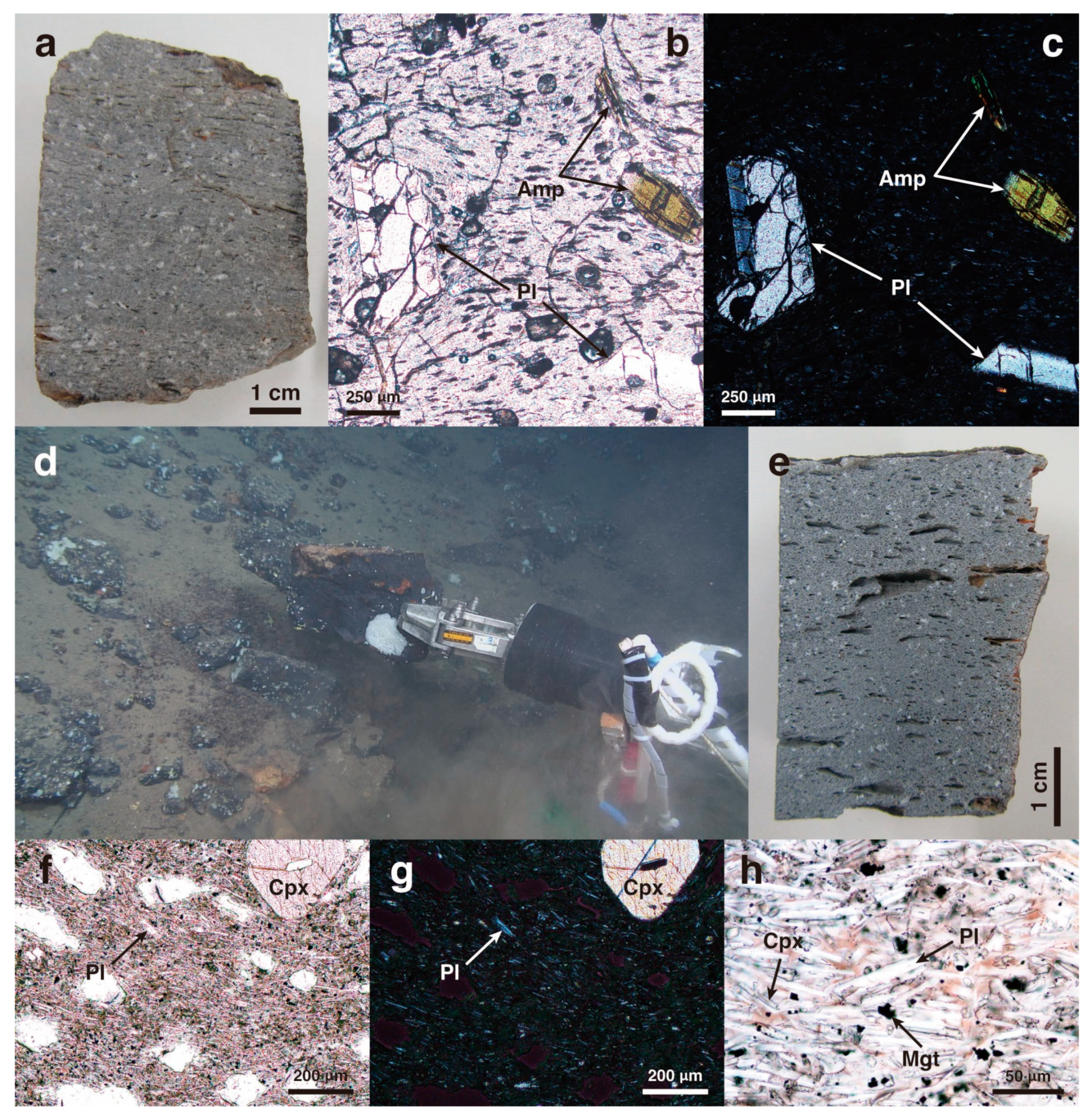 Minerals 14 00259 g001