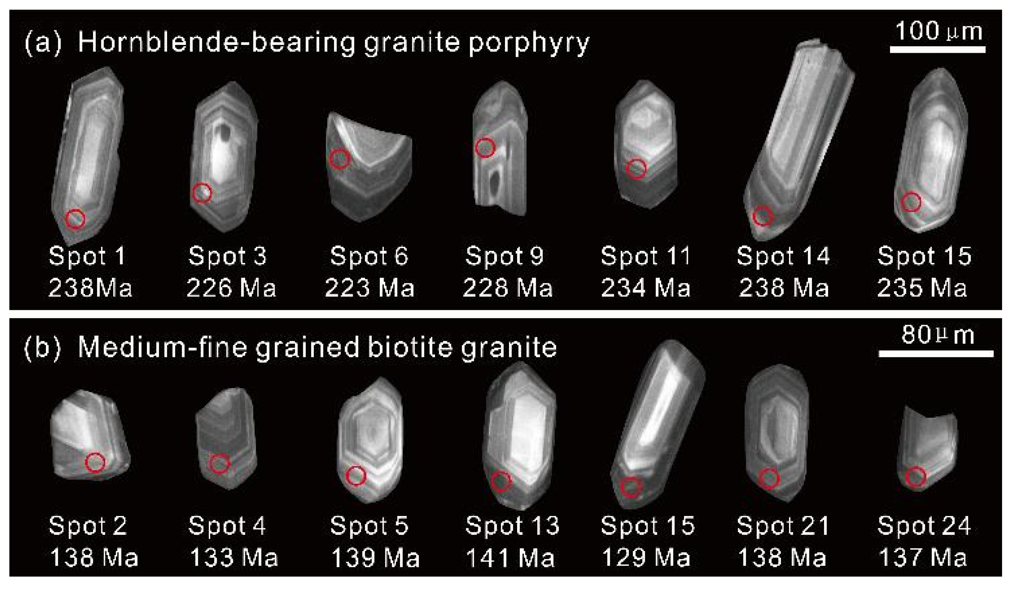 Minerals 14 00261 g005