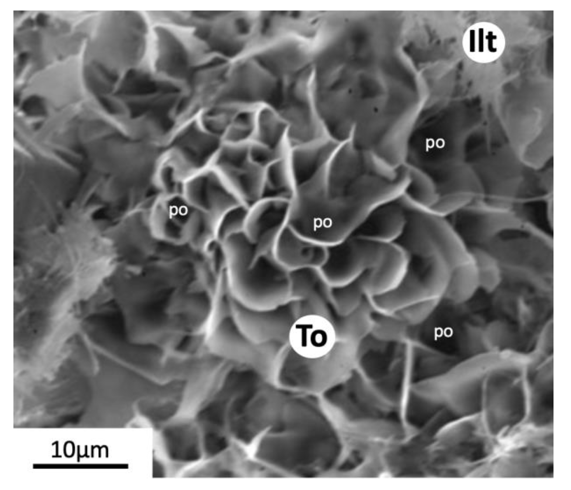 Minerals 14 00263 g006 Minerals 14 00263 g006