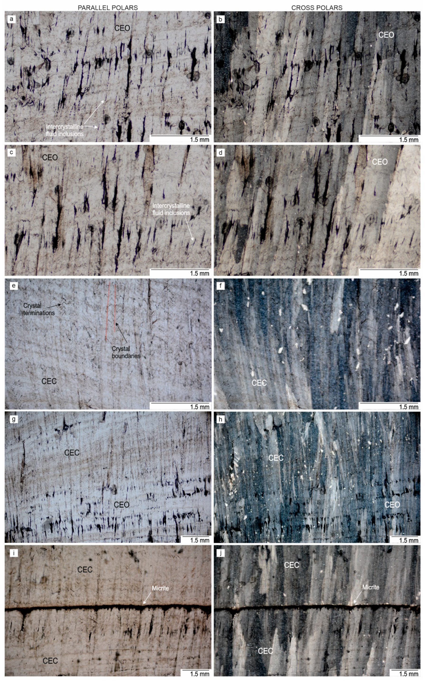 Minerals 14 00267 g003 Minerals 14 00267 g003