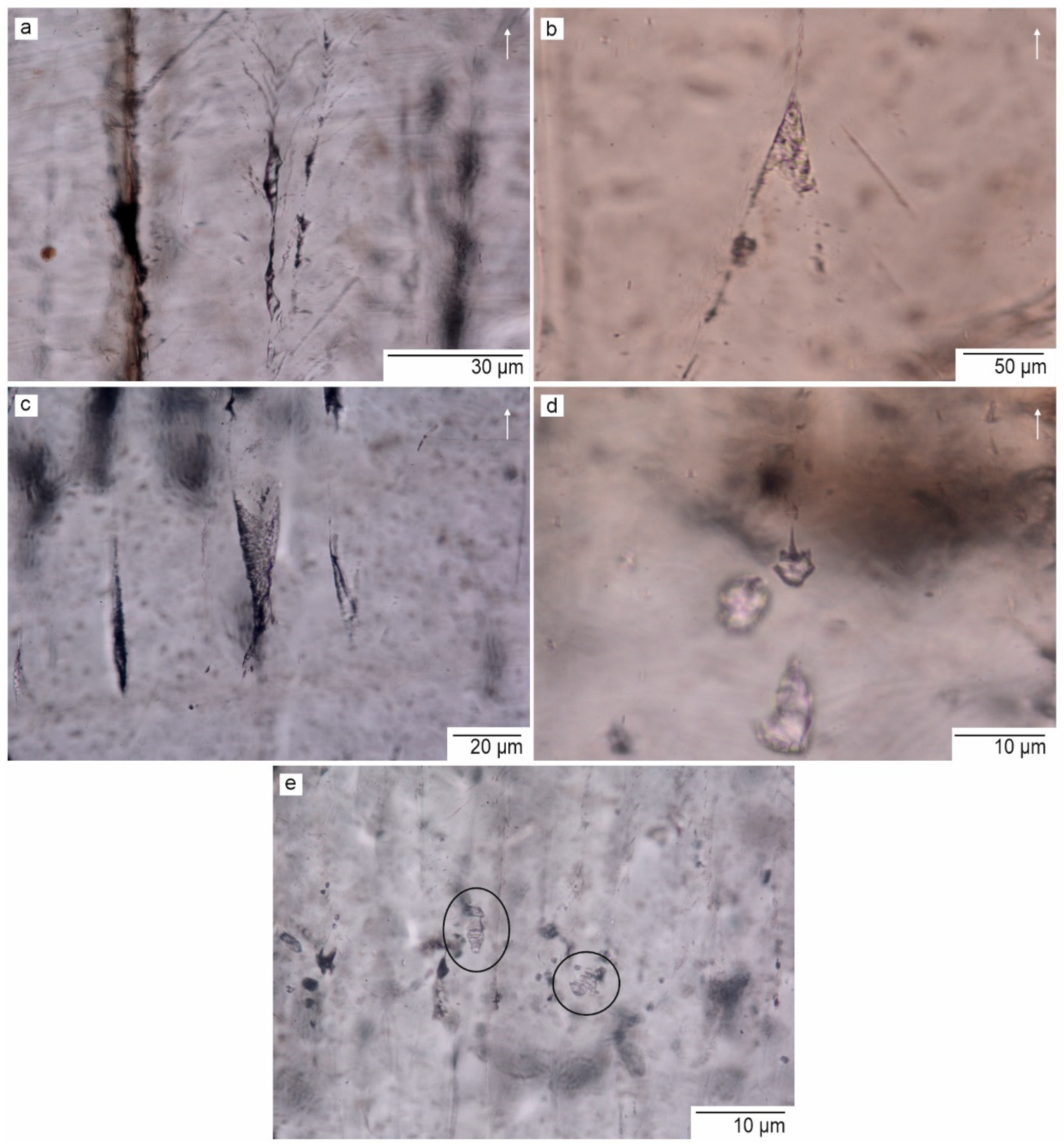 Minerals 14 00267 g004 Minerals 14 00267 g004