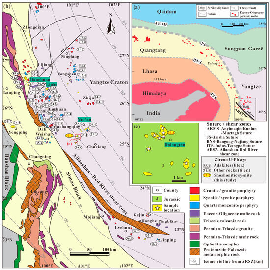 Petrogenesis and Tectonic Implications of the Oligocene
