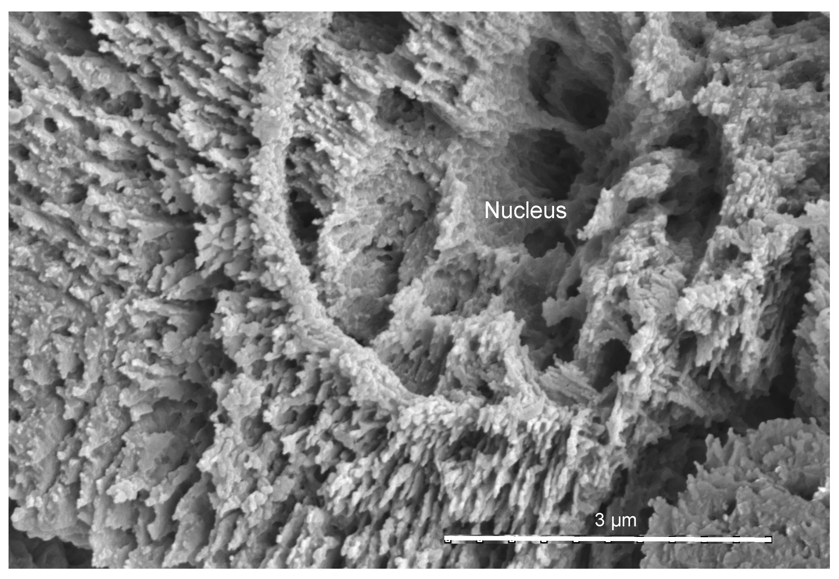 Minerals 14 00291 g003