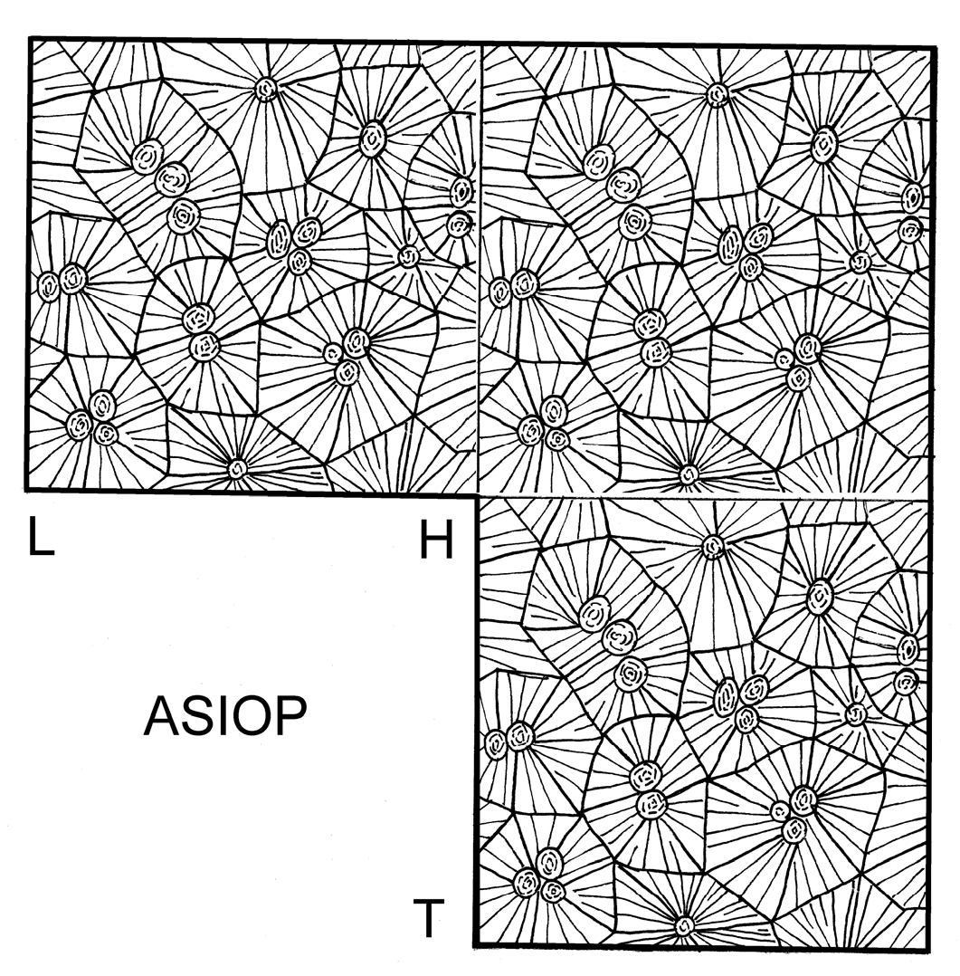 Minerals 14 00291 g004