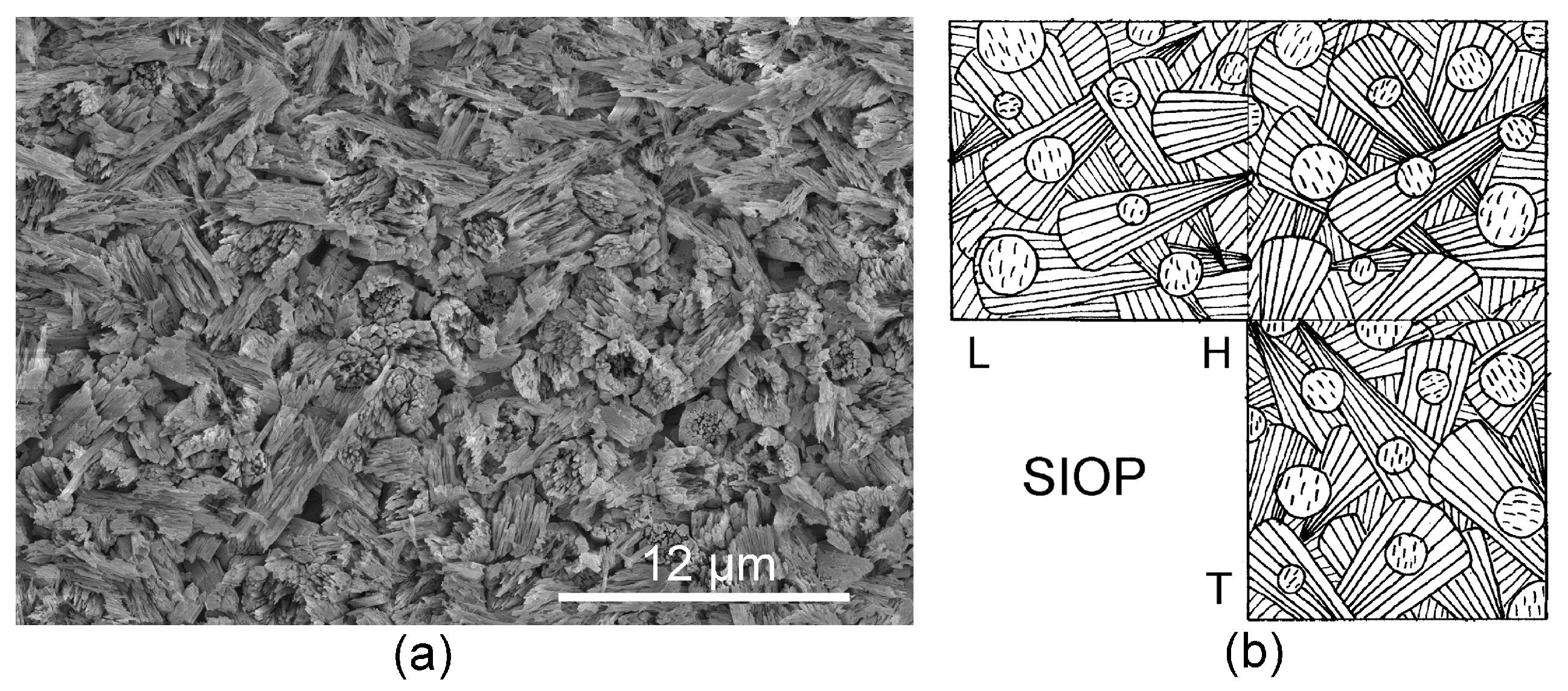 Minerals 14 00291 g005