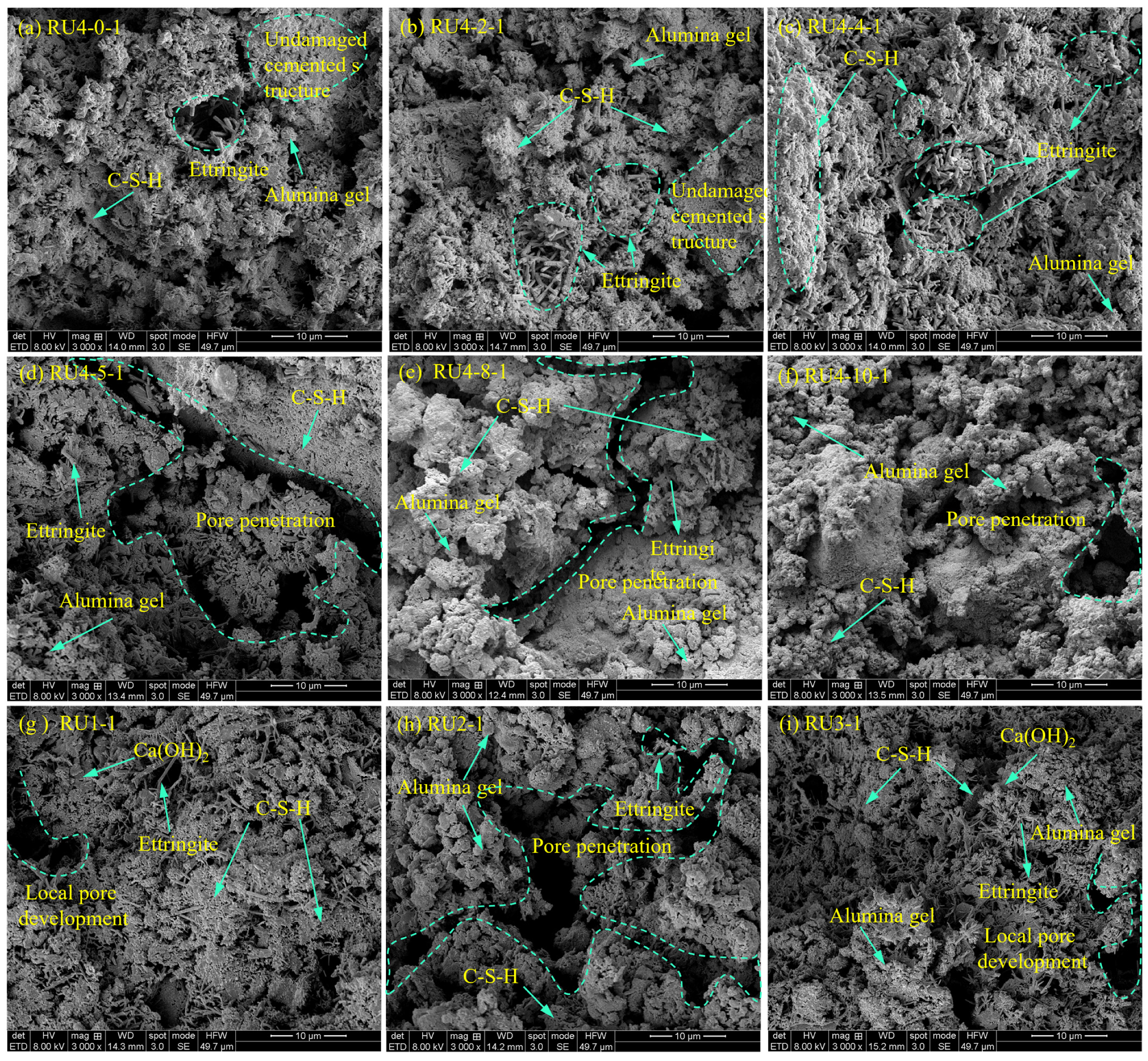 Minerals 14 00296 g012