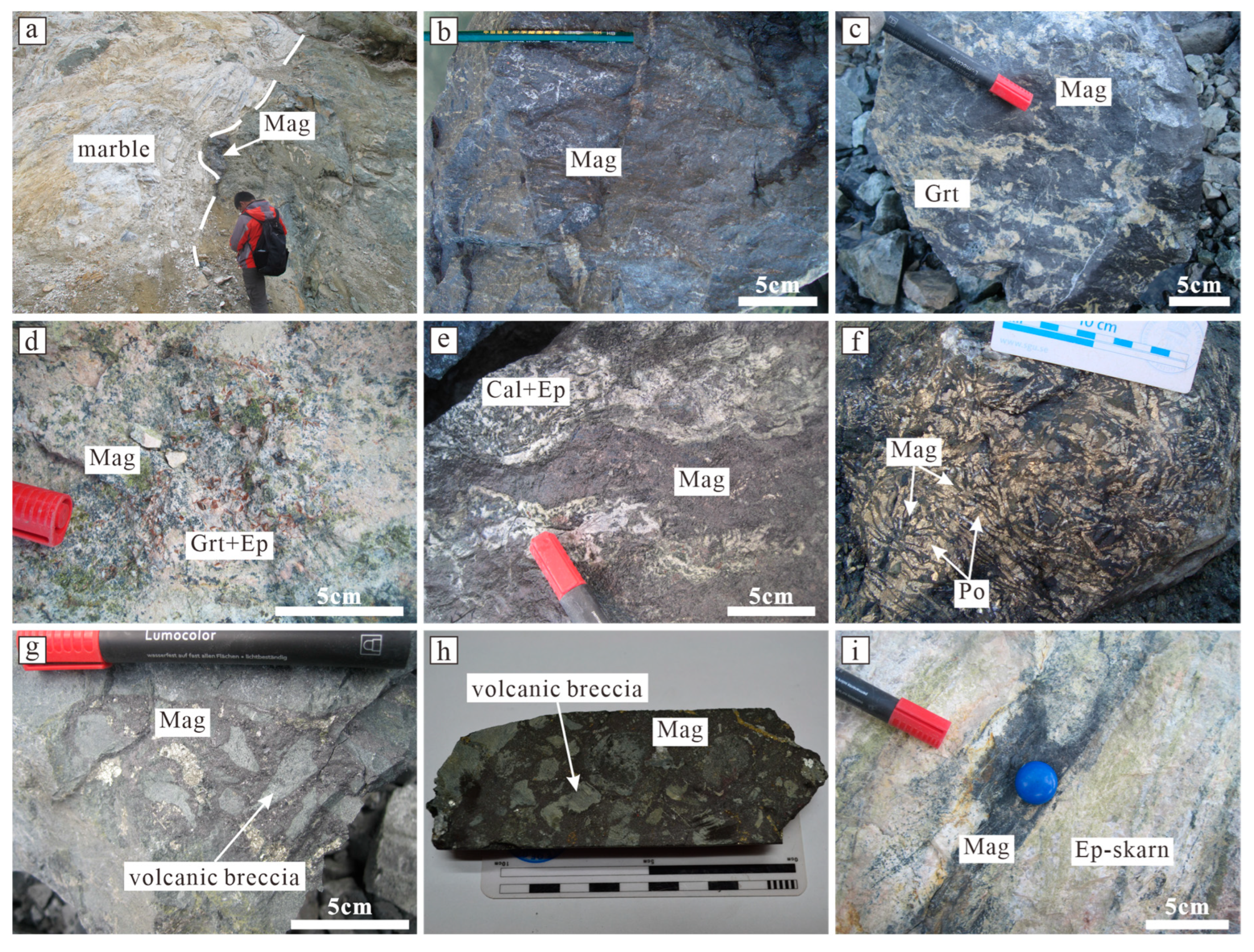 n。 Genesis of the Beizhan Iron Deposit in Western Tianshan