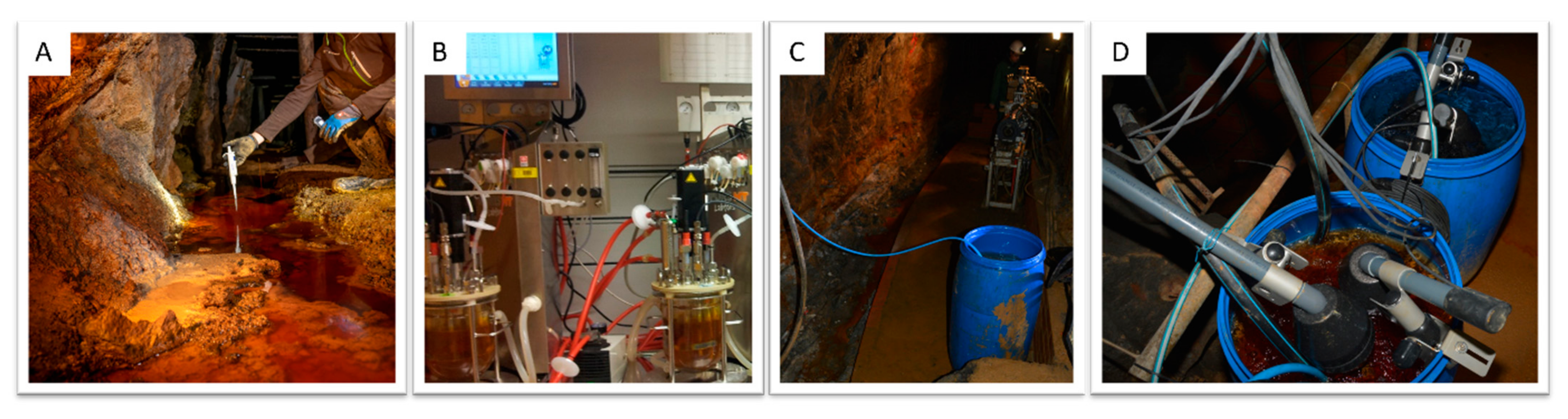Minerals 14 00308 g003