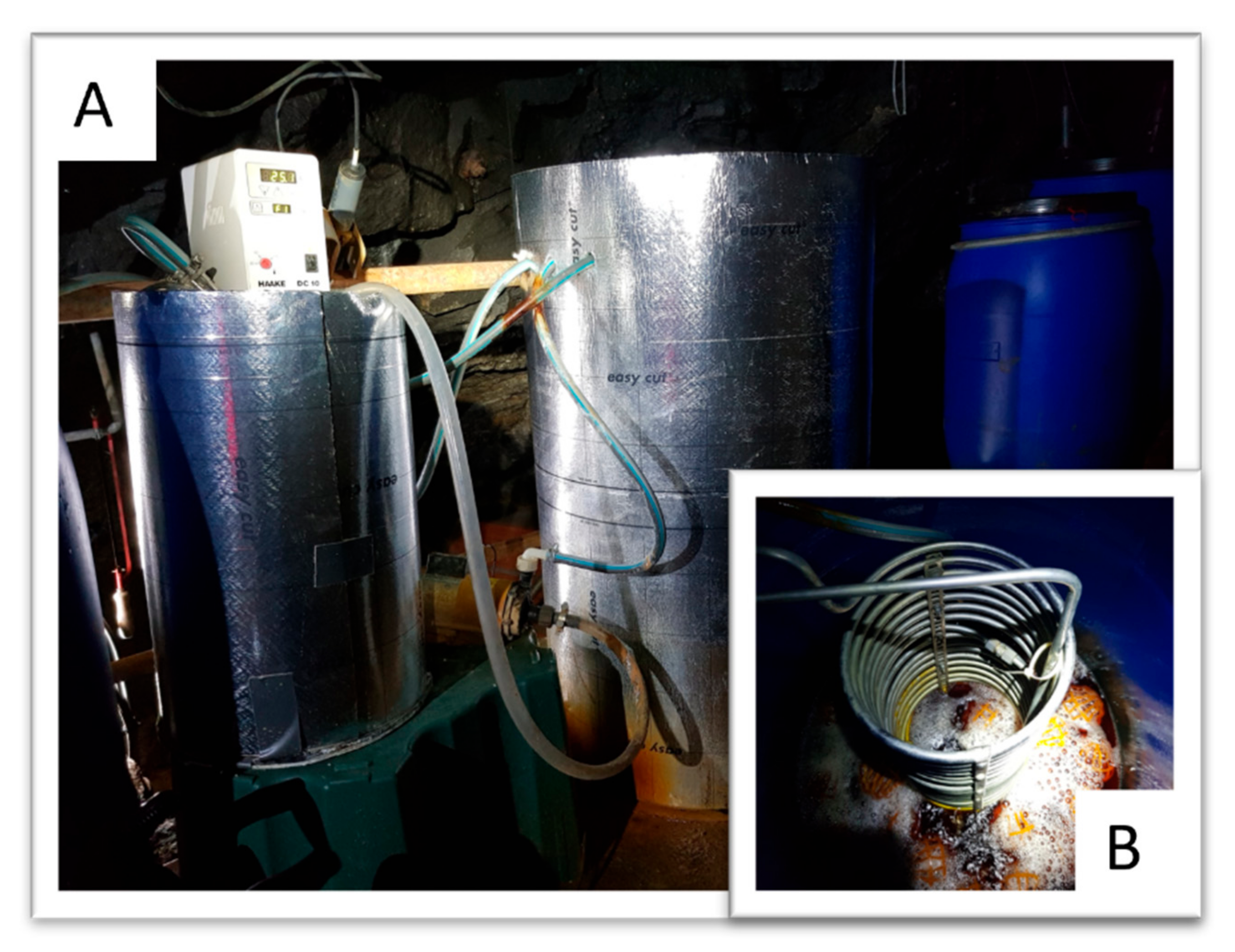 Minerals 14 00308 g009