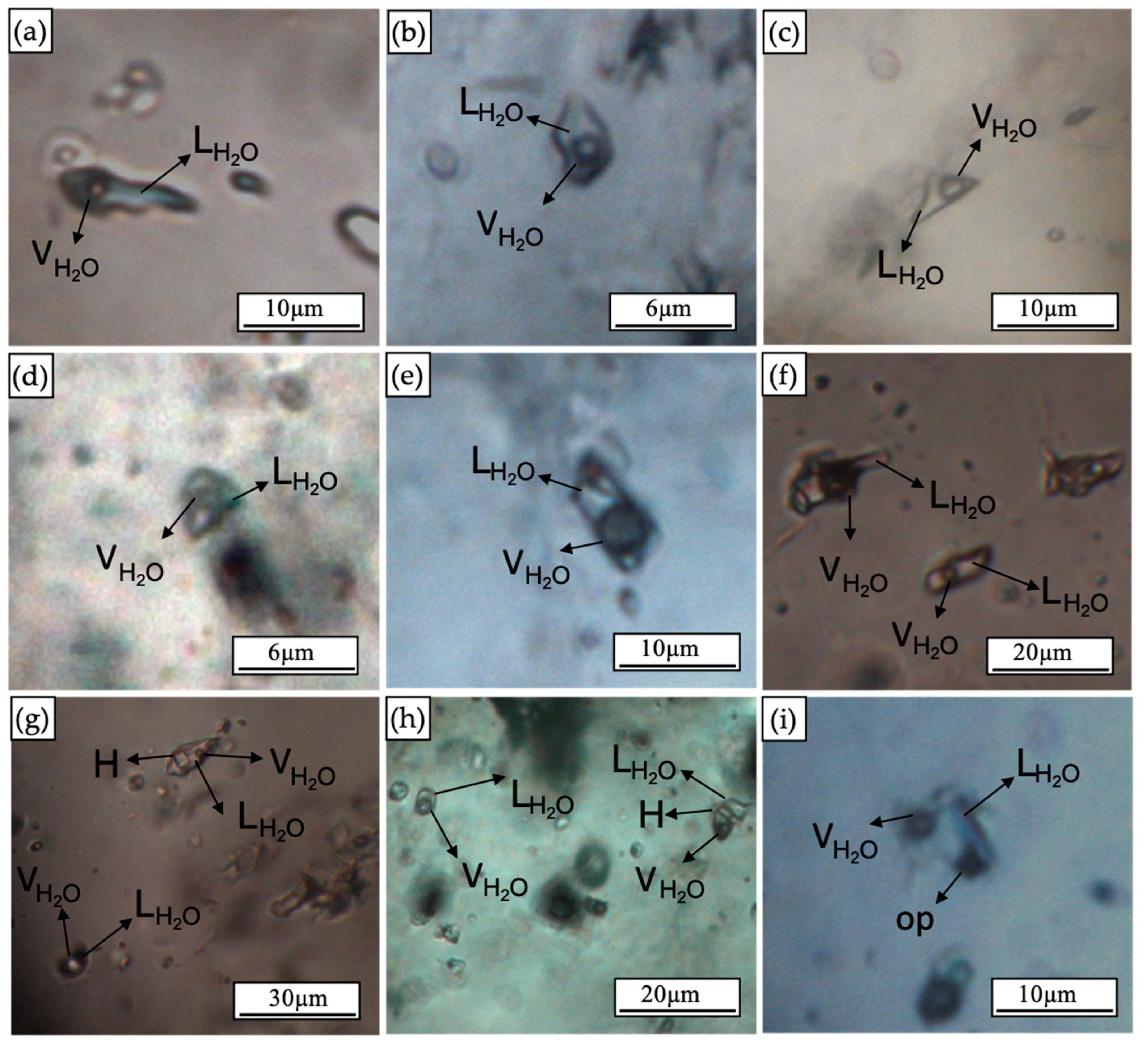 Minerals 14 00320 g010