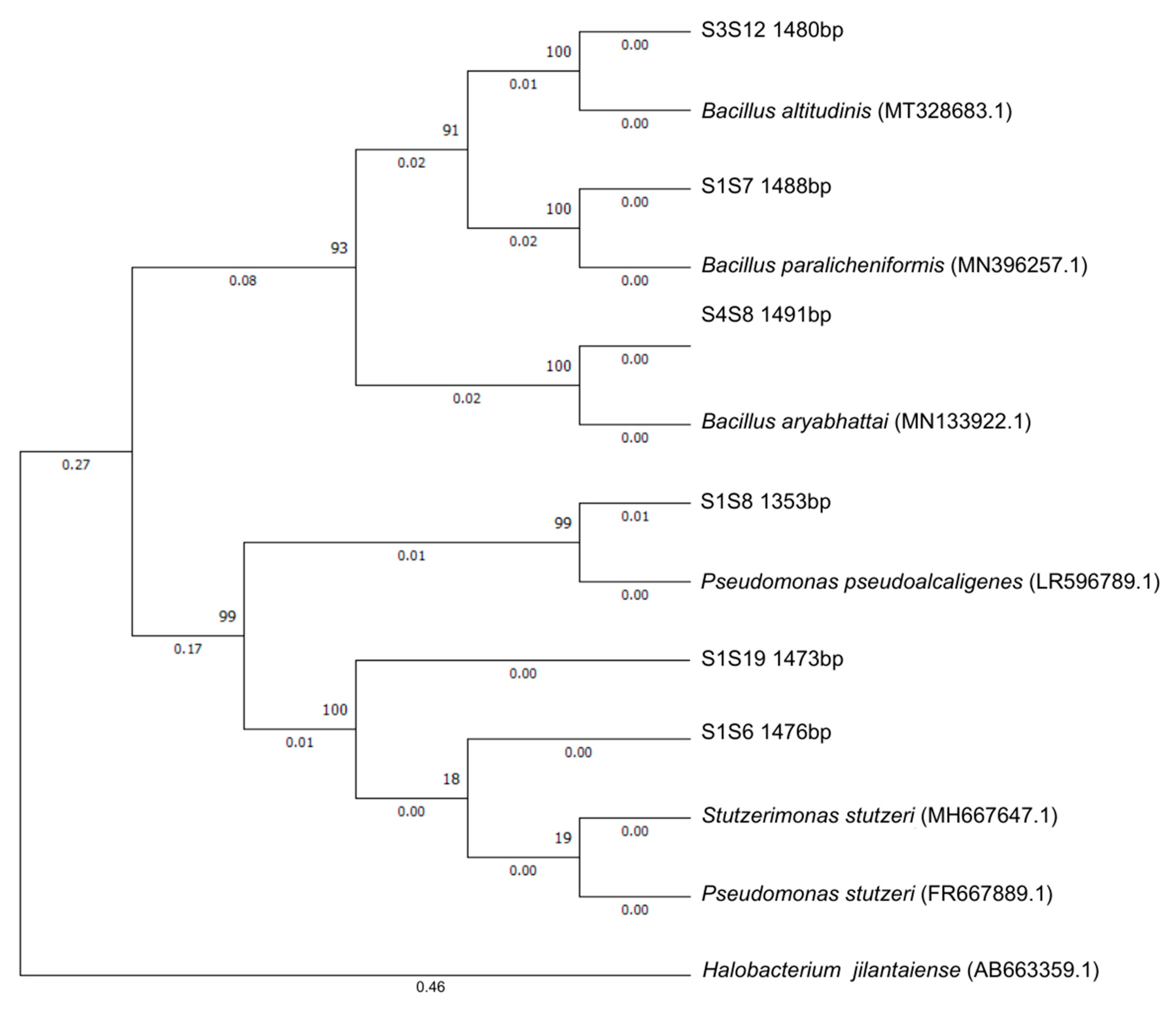 Minerals 14 00339 g001