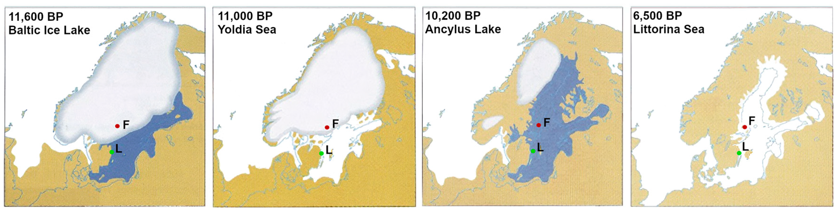 Minerals 14 00357 g002