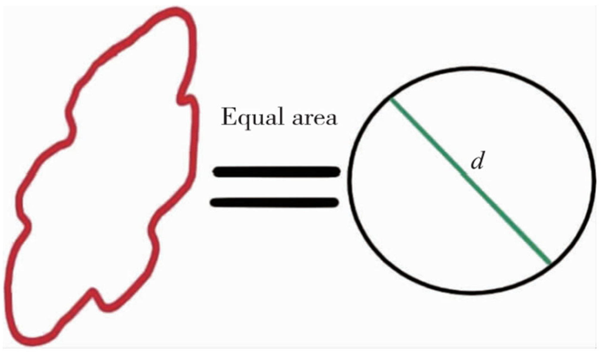 Minerals 14 00358 g004