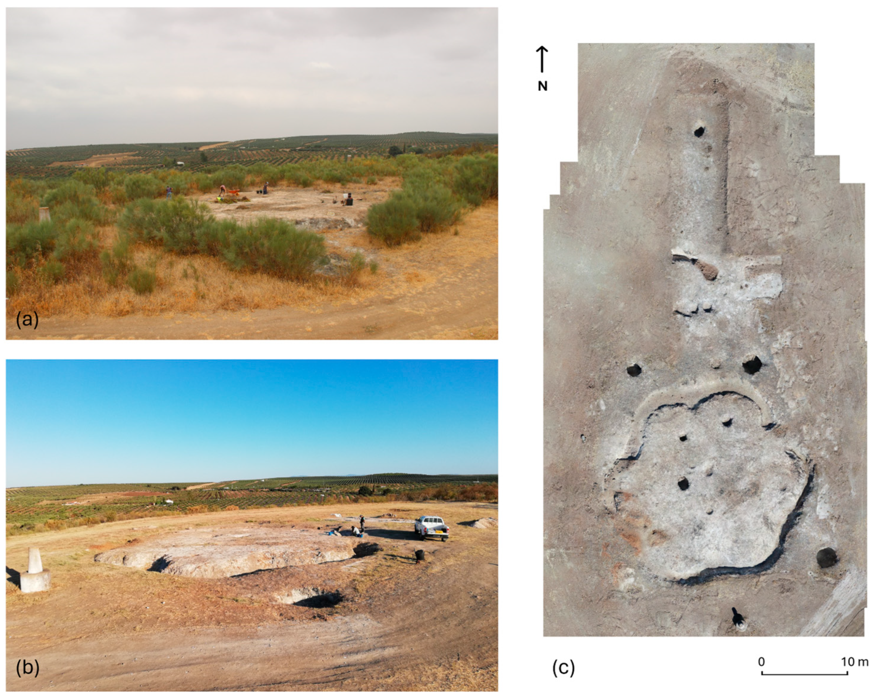 Minerals 14 00399 g001