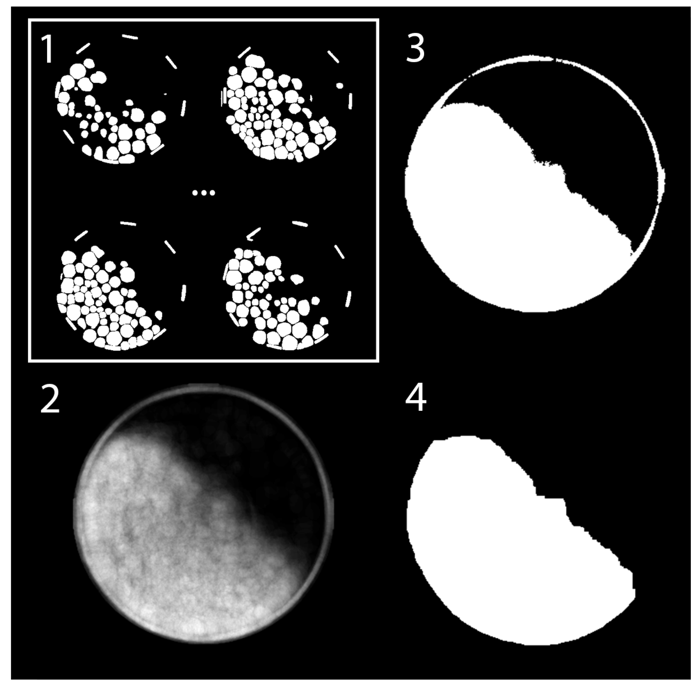 Minerals 14 00407 g010