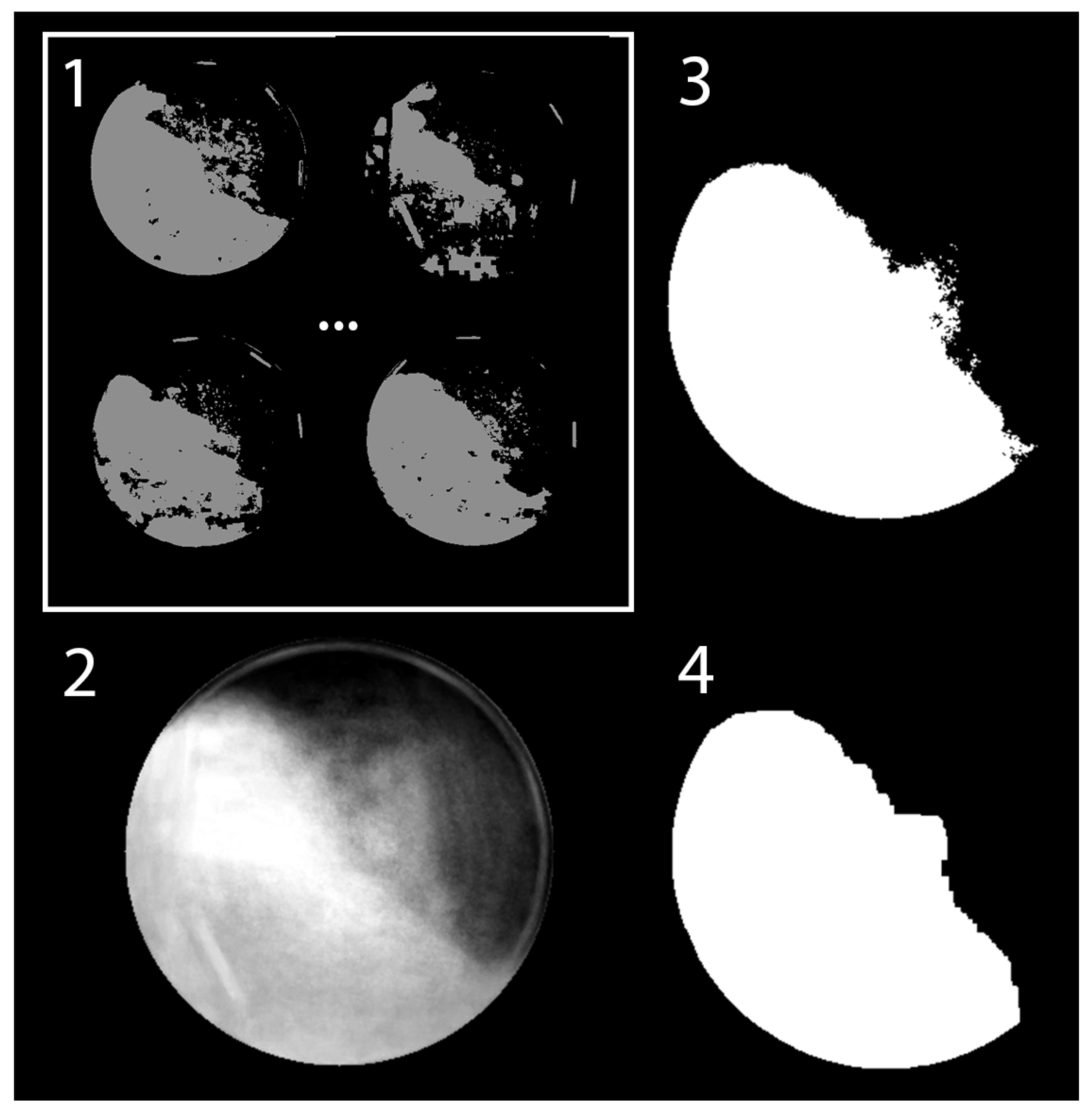 Minerals 14 00407 g013