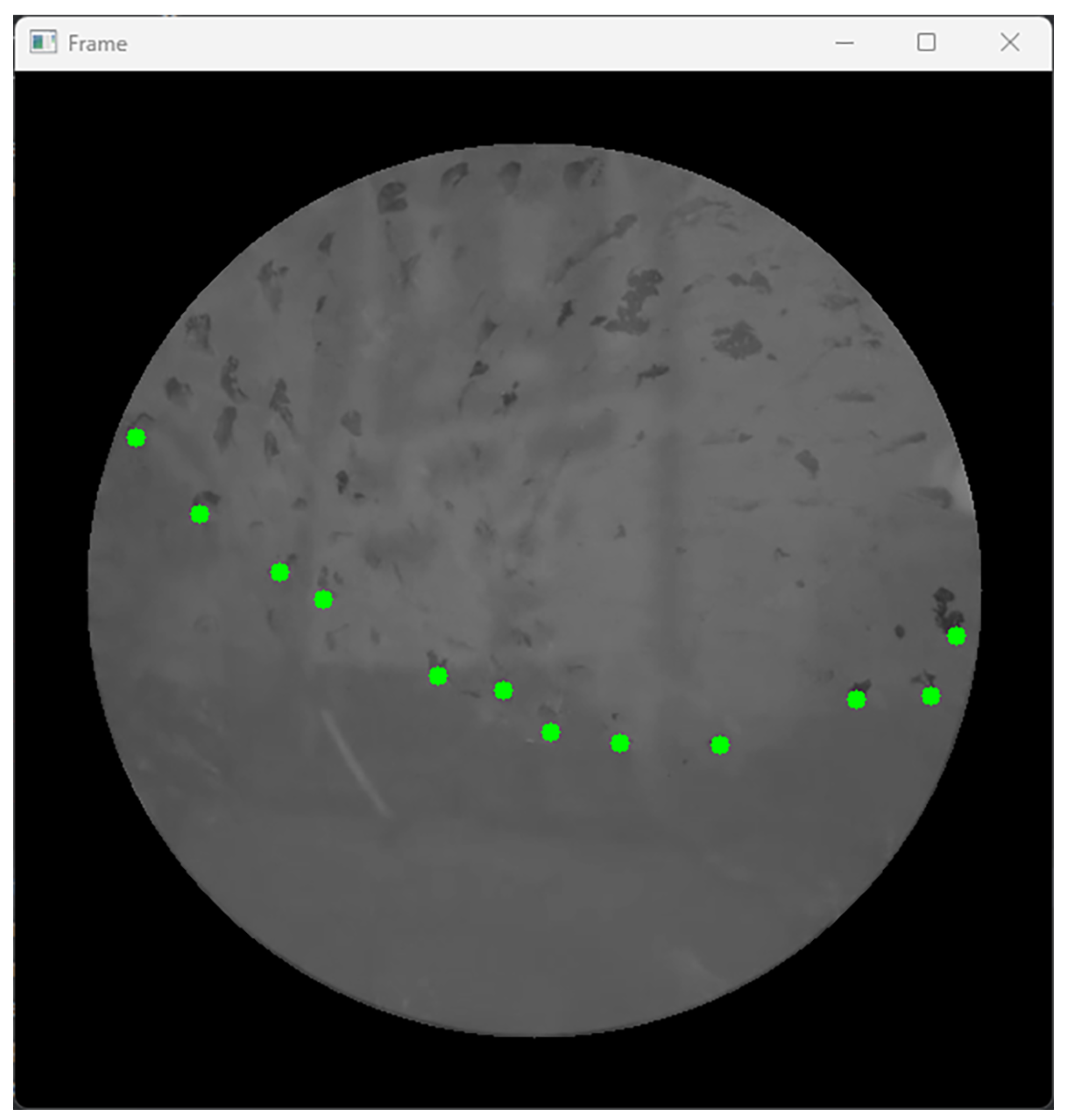 Minerals 14 00407 g014