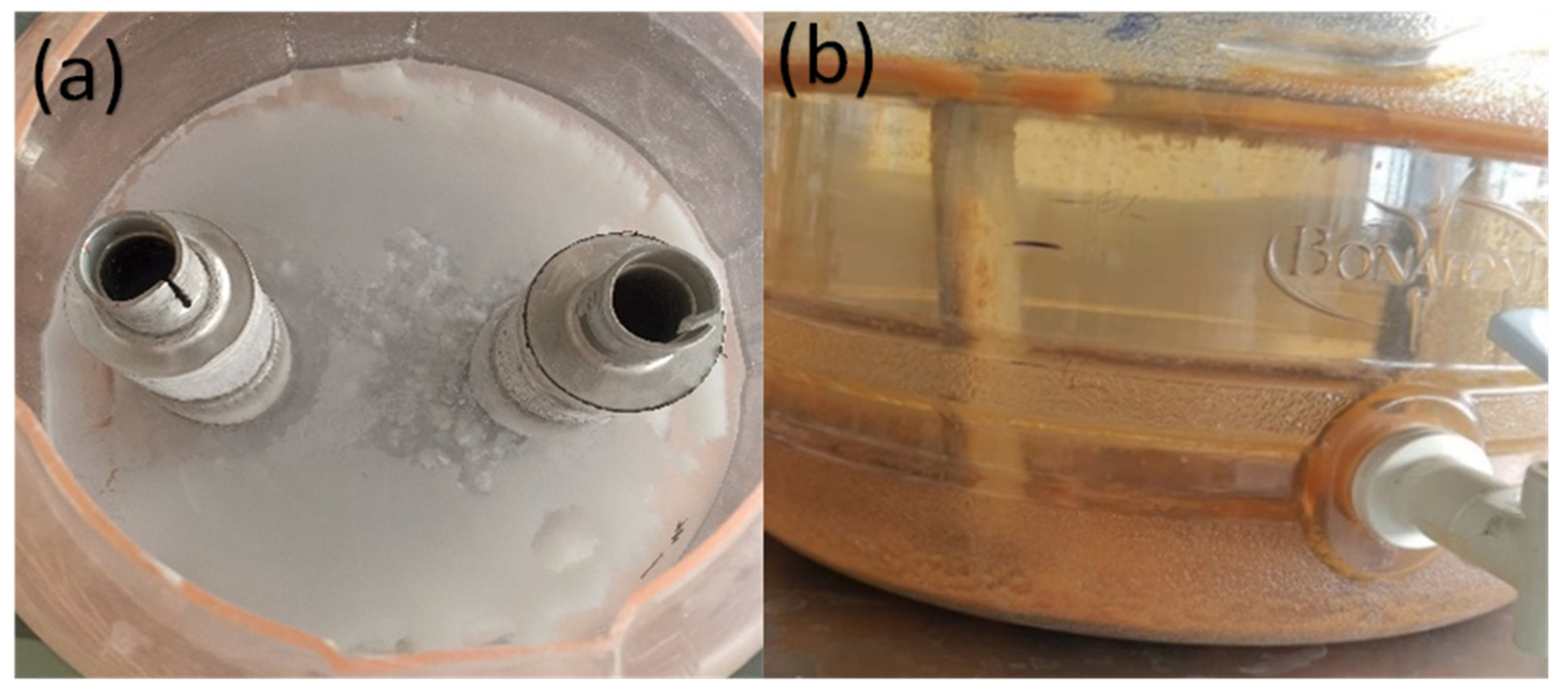 Minerals 14 00412 g001