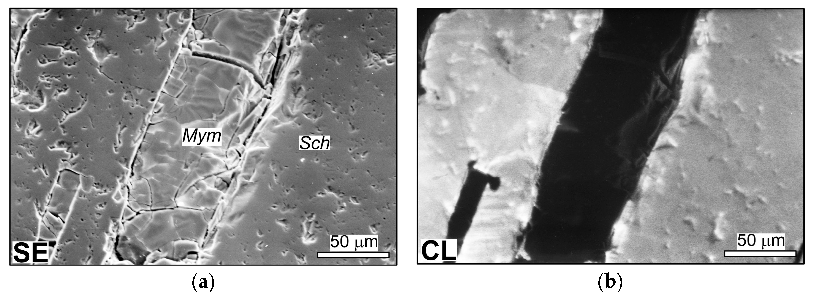 Minerals 14 00422 g001