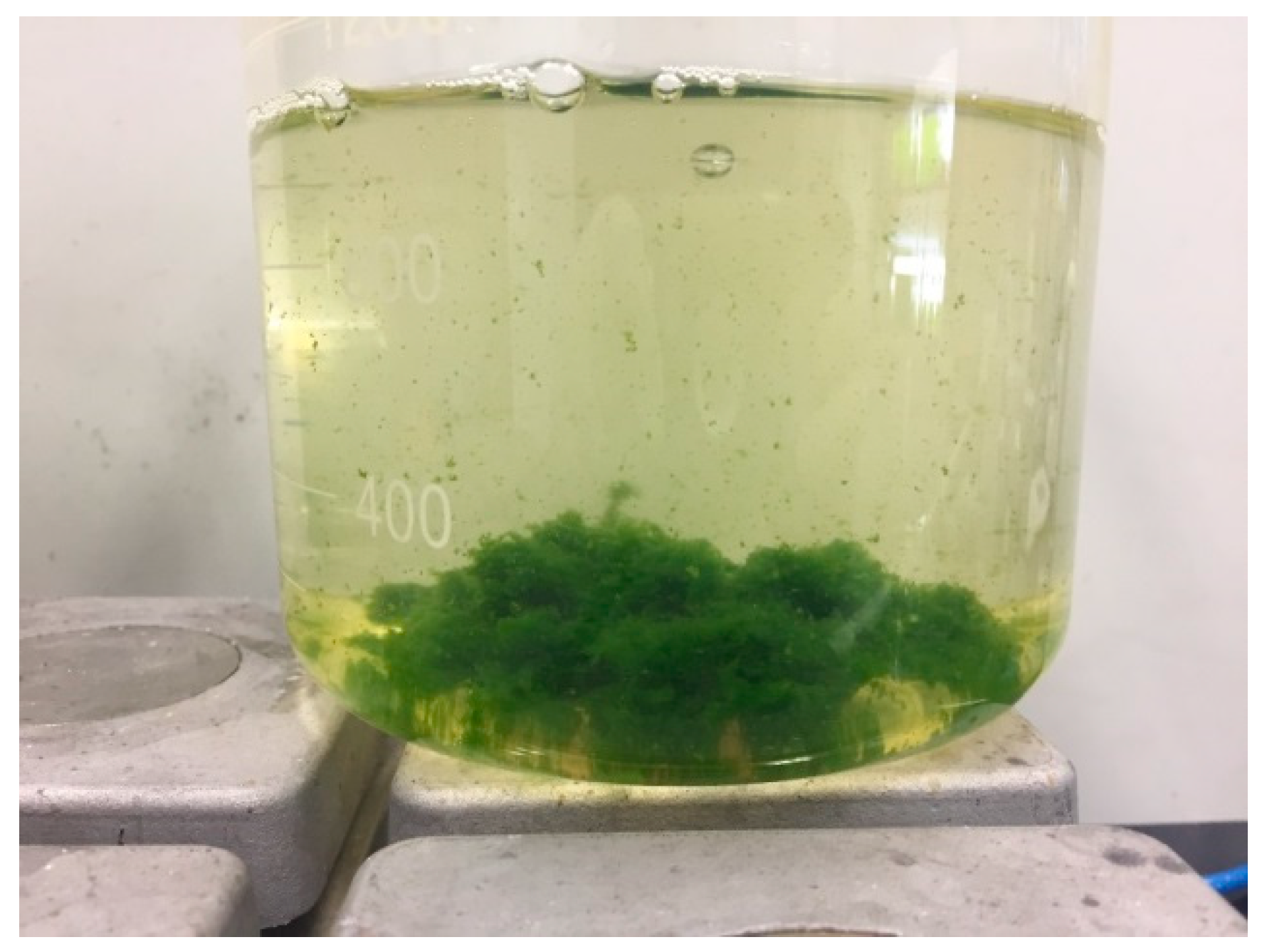 Minerals 14 00426 g006