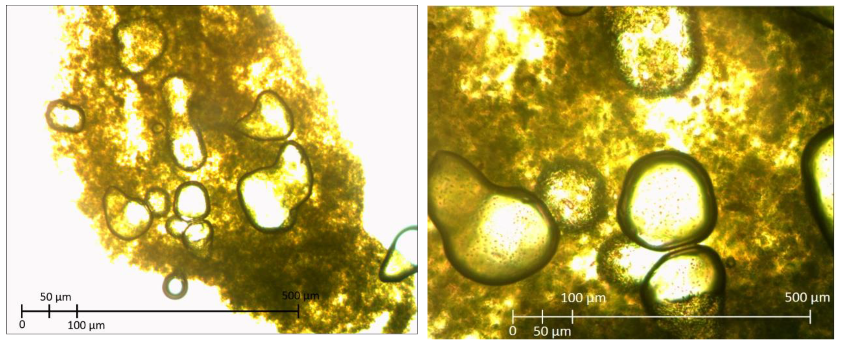 Minerals 14 00426 g008