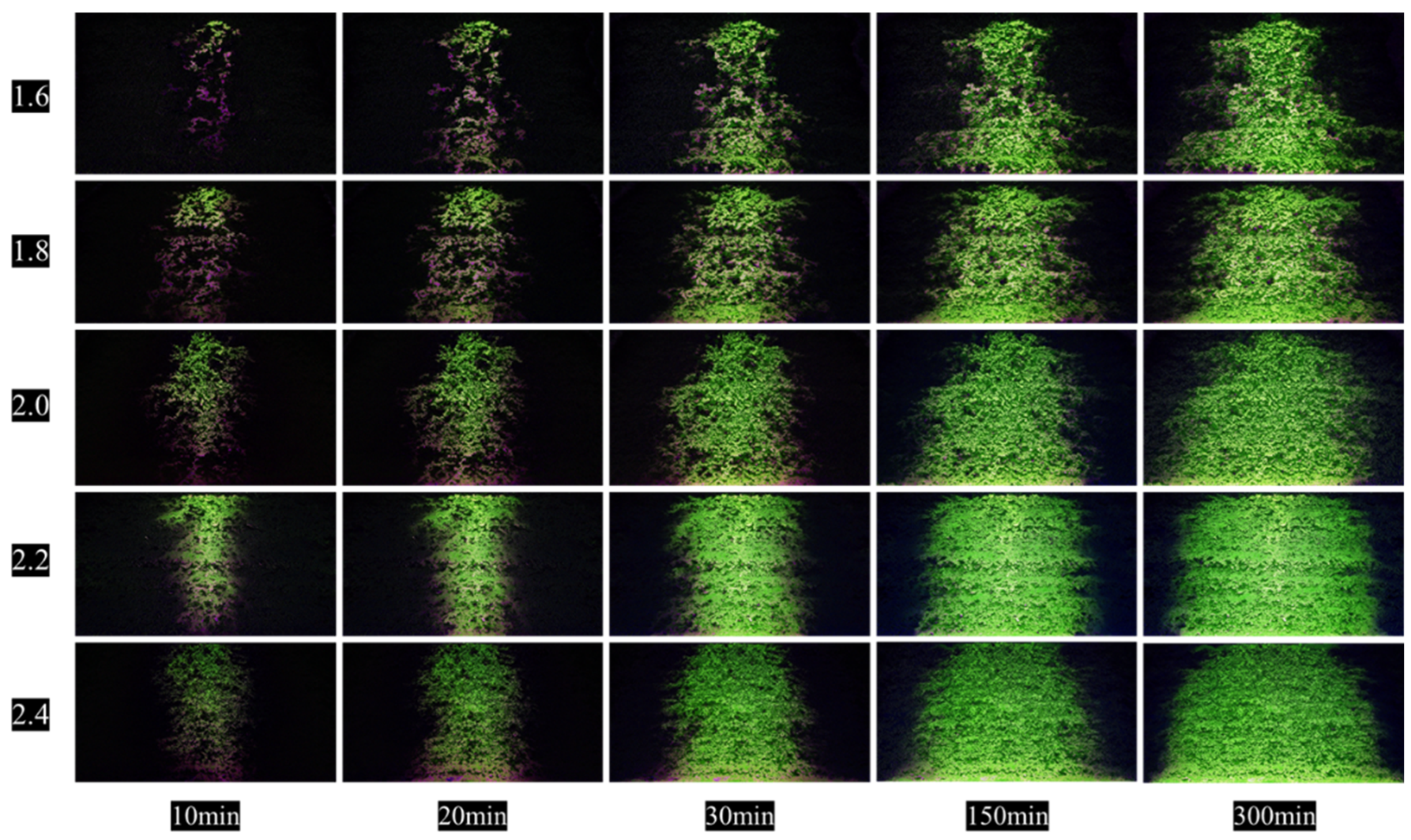 Minerals 14 00482 g007