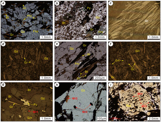 A New Insight into the Genesis of Graphite Deposits in
