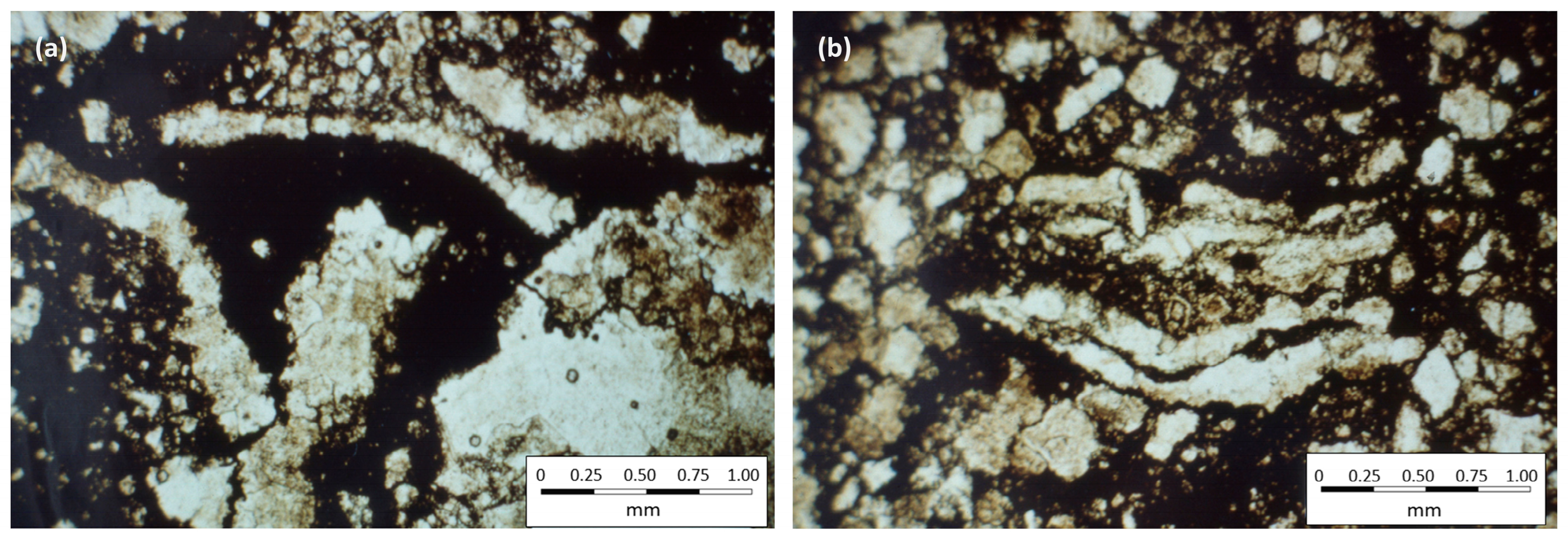 Minerals 14 00498 g023