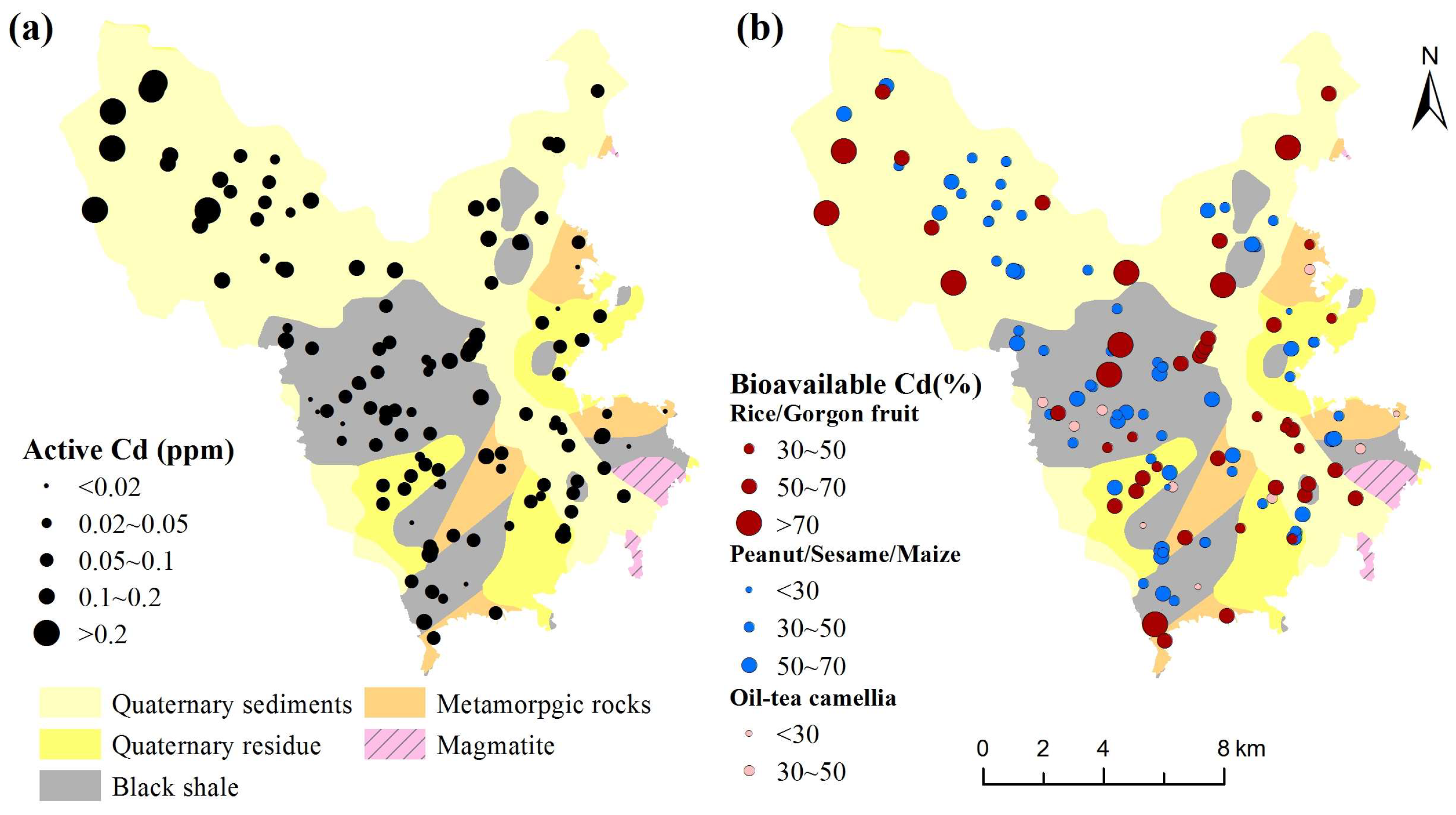 Minerals 14 00514 g004