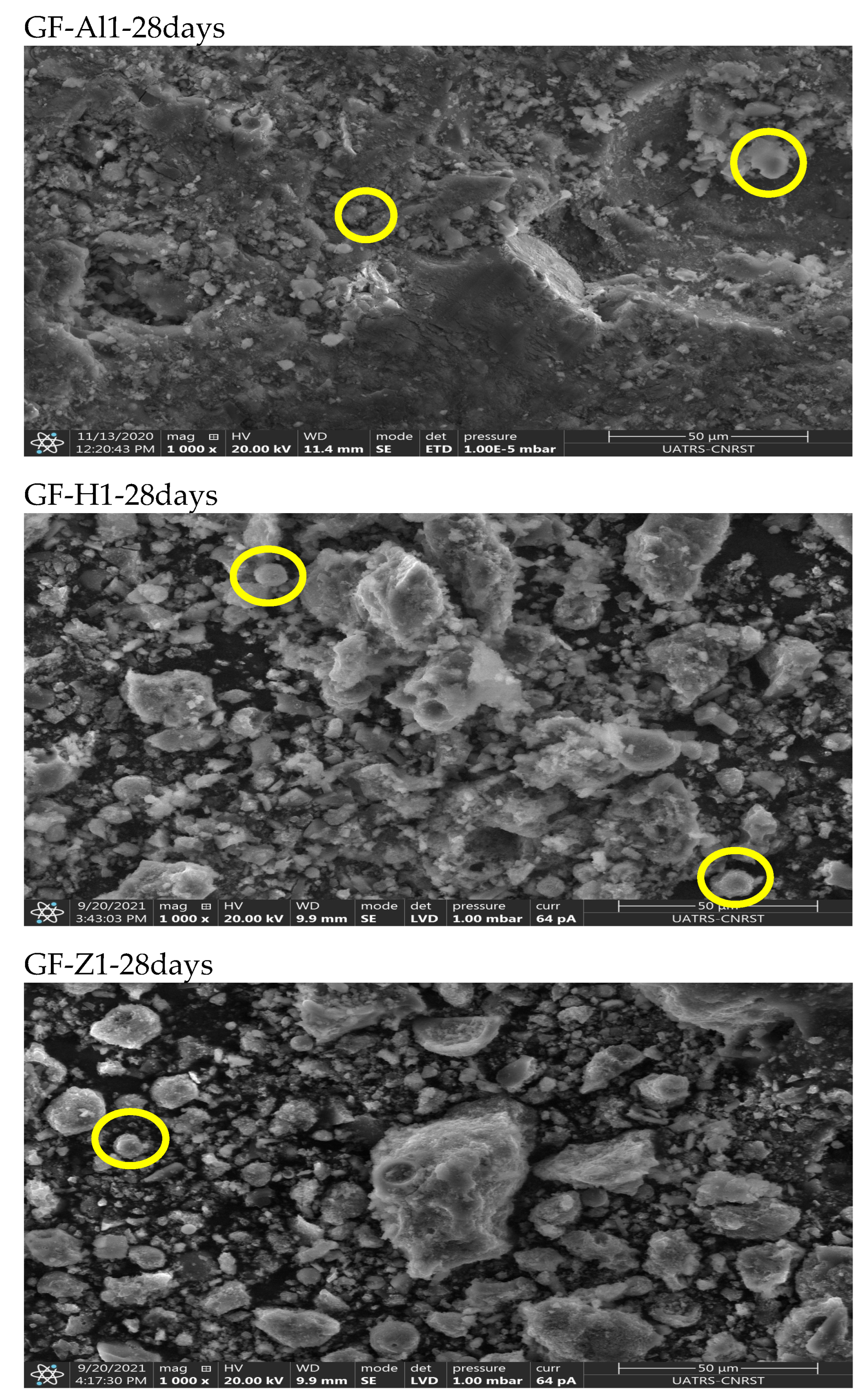 Minerals 14 00516 g010b