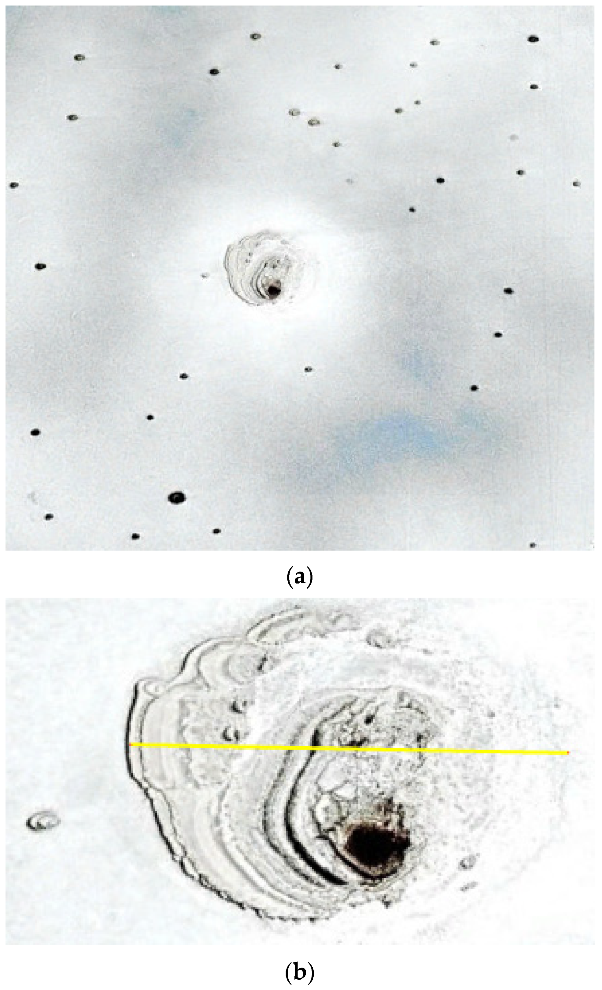 Minerals 14 00527 g006 Minerals 14 00527 g006