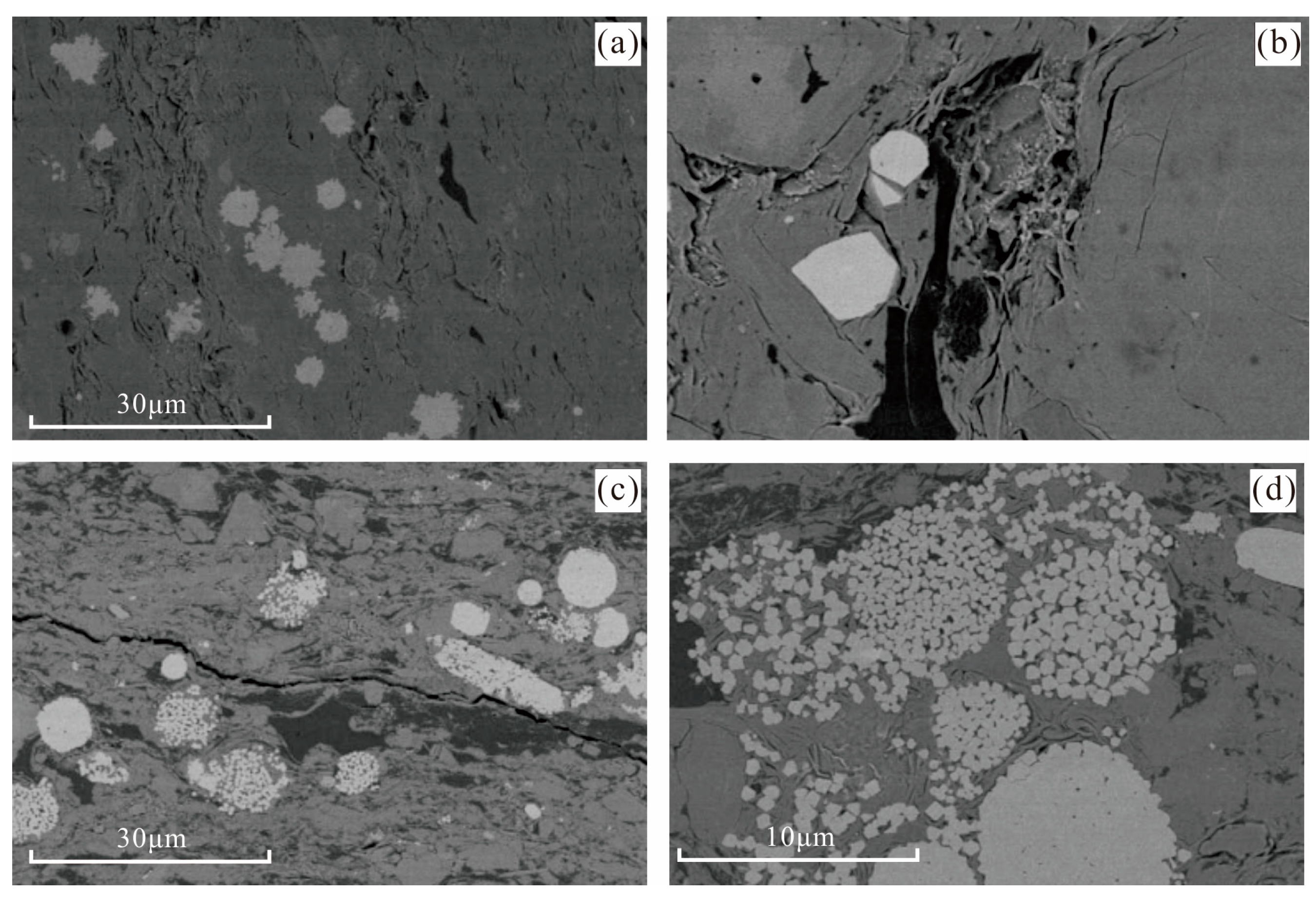 Minerals 14 00540 g004