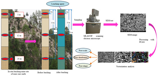 Microstructure Evolution Law of Ionic Rare Earth at Different Depths in ...