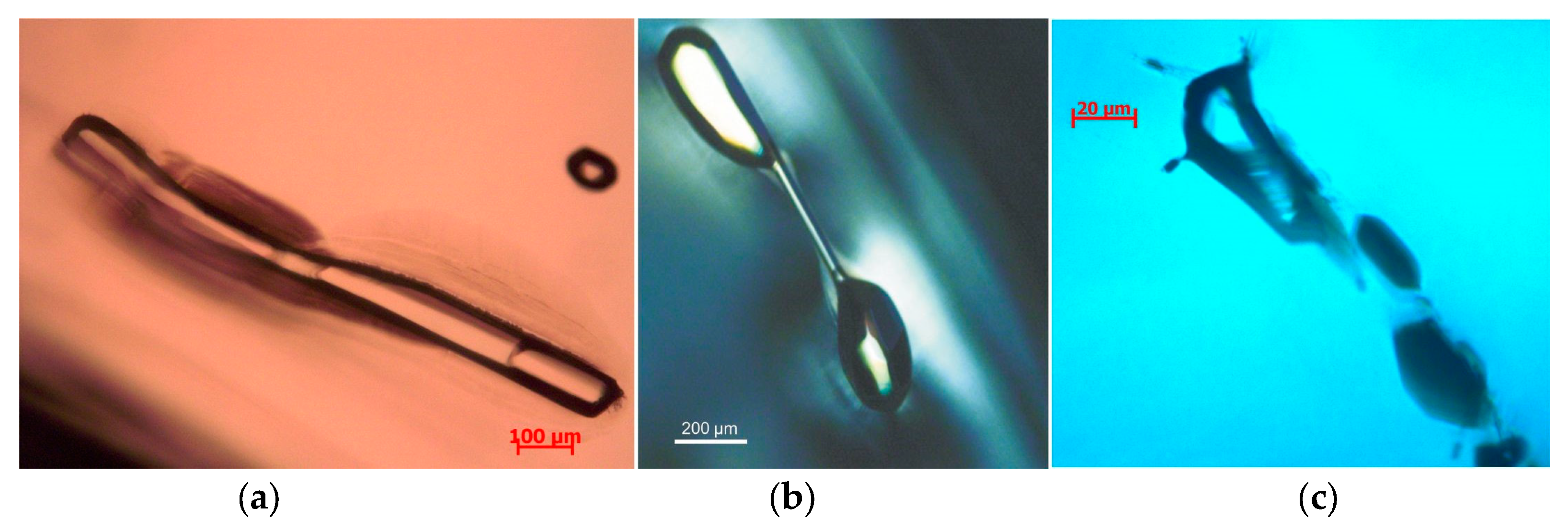 Minerals 14 00594 g002