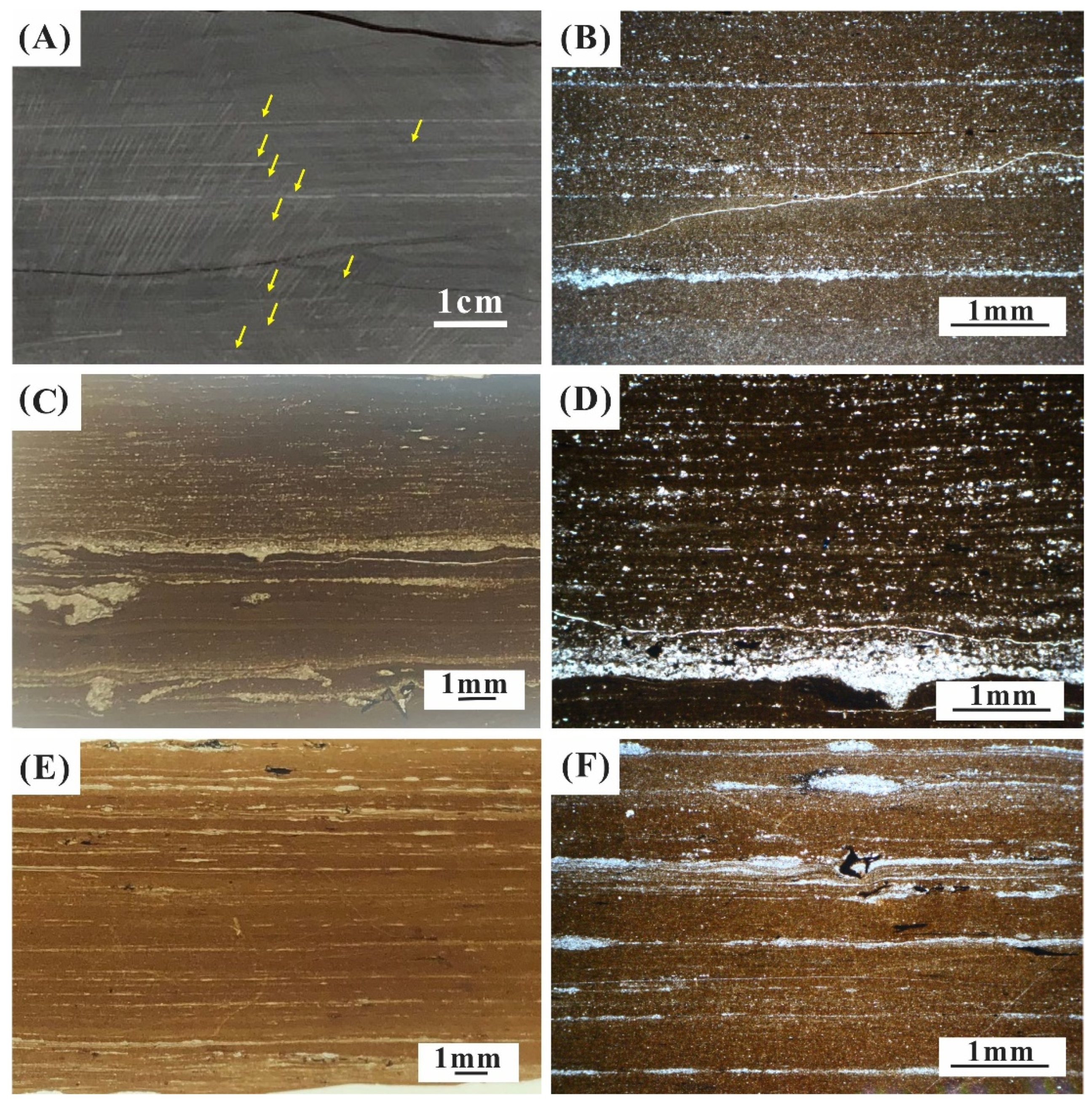Minerals 14 00600 g005