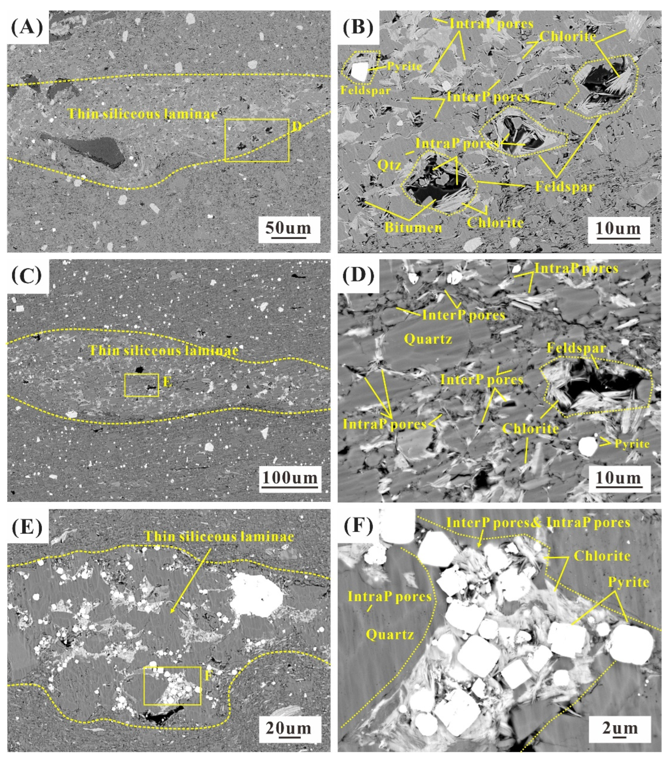 Minerals 14 00600 g006