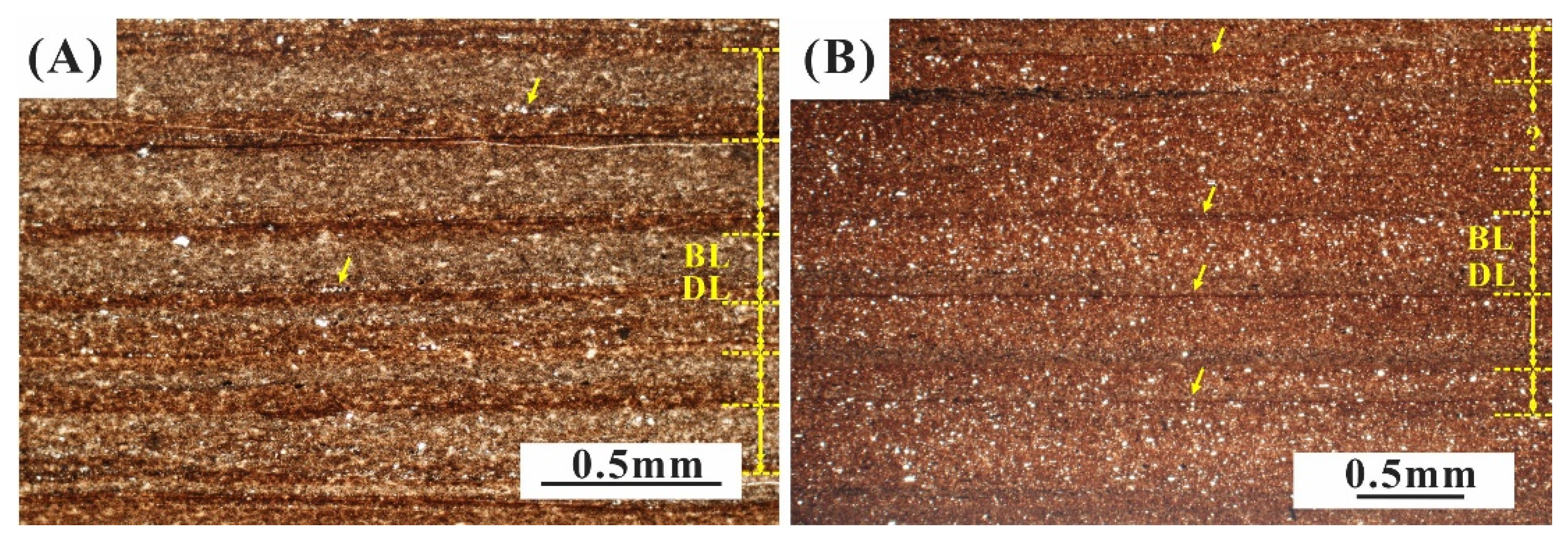 Minerals 14 00600 g007