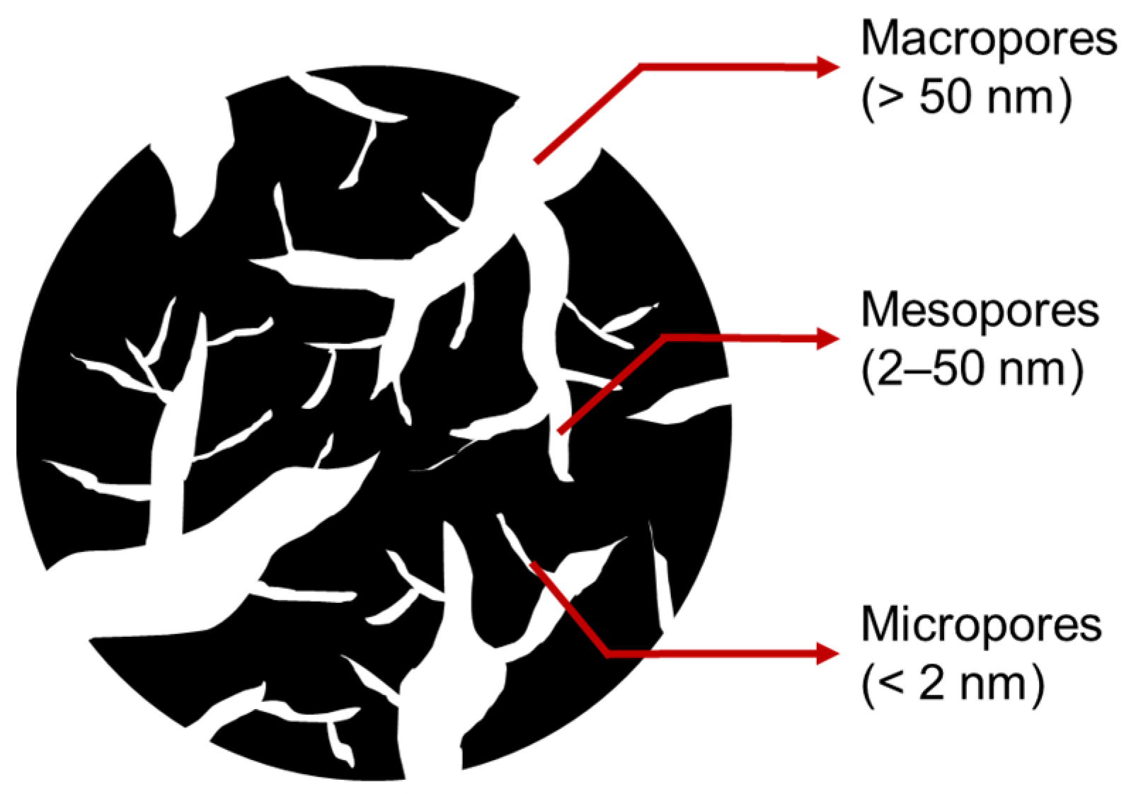 Minerals 14 00607 g002