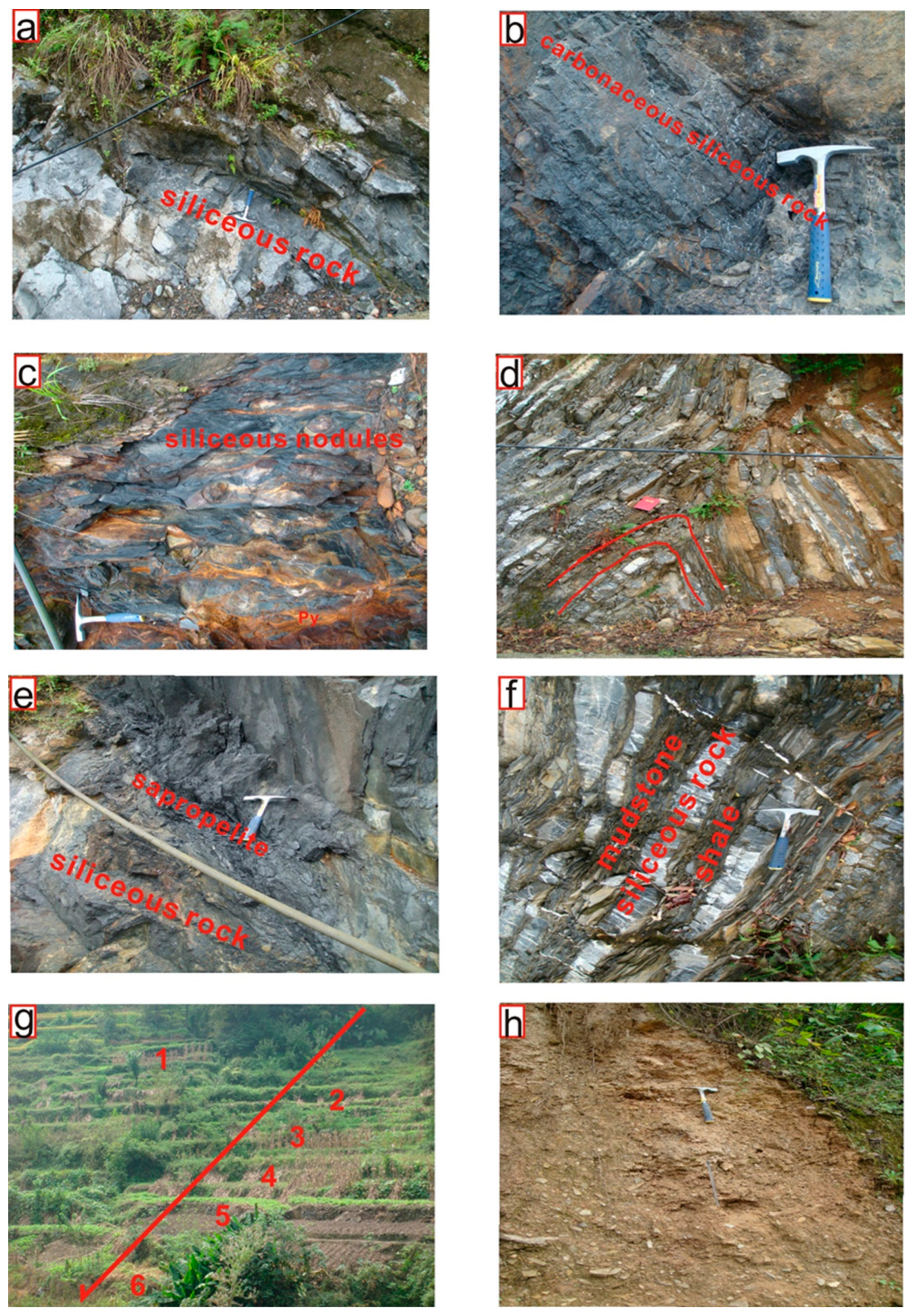 Minerals 14 00612 g002 Minerals 14 00612 g002