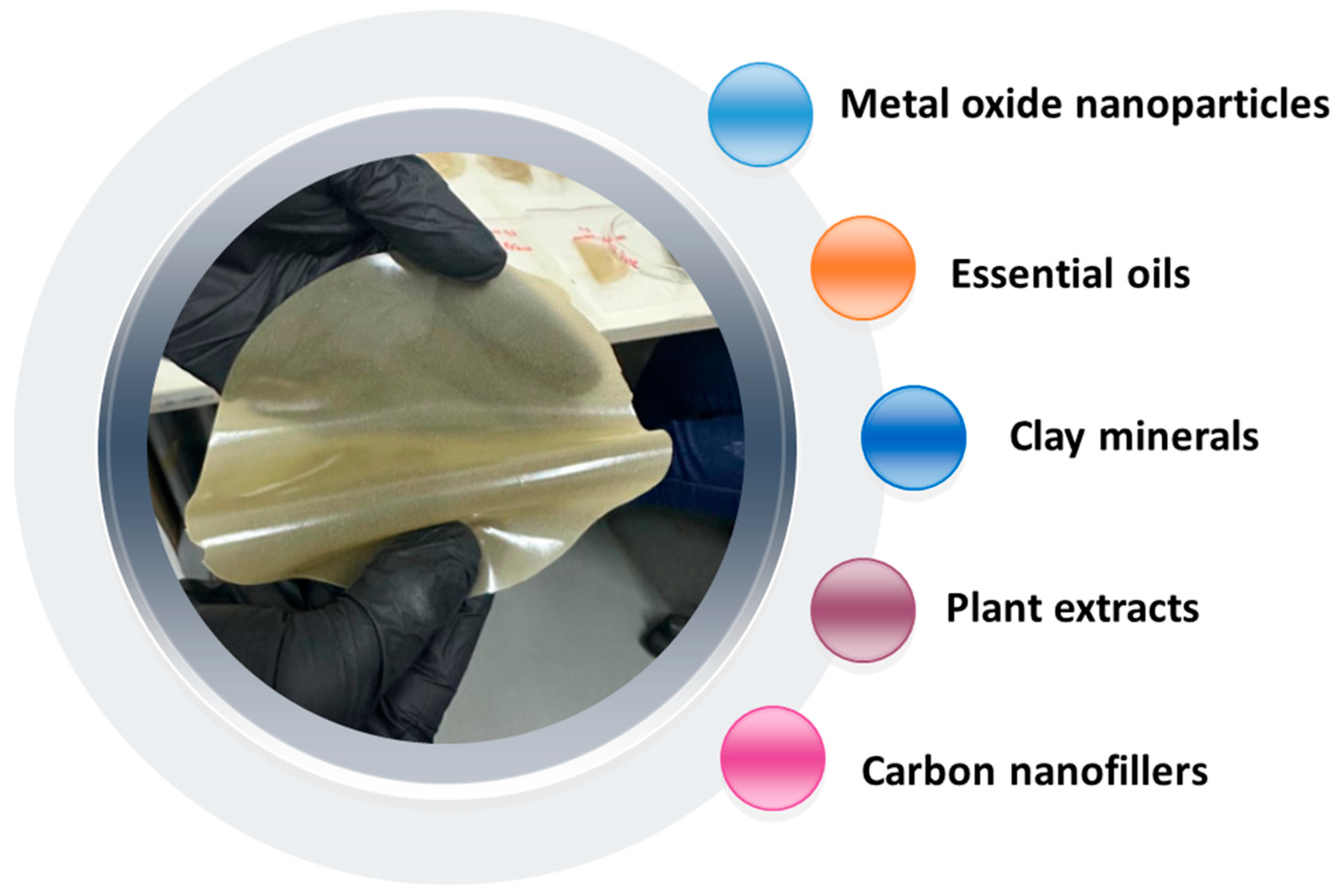 Minerals 14 00613 g004