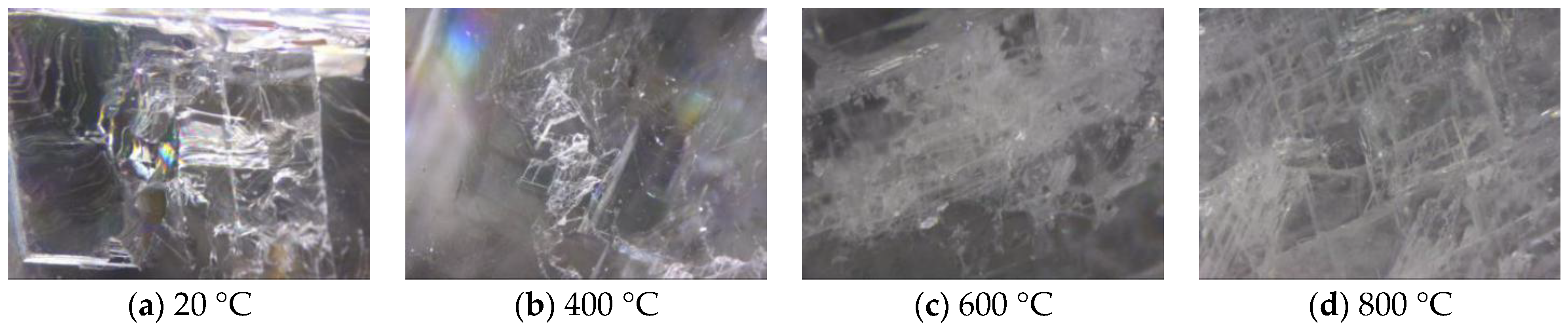 Minerals 14 00623 g010