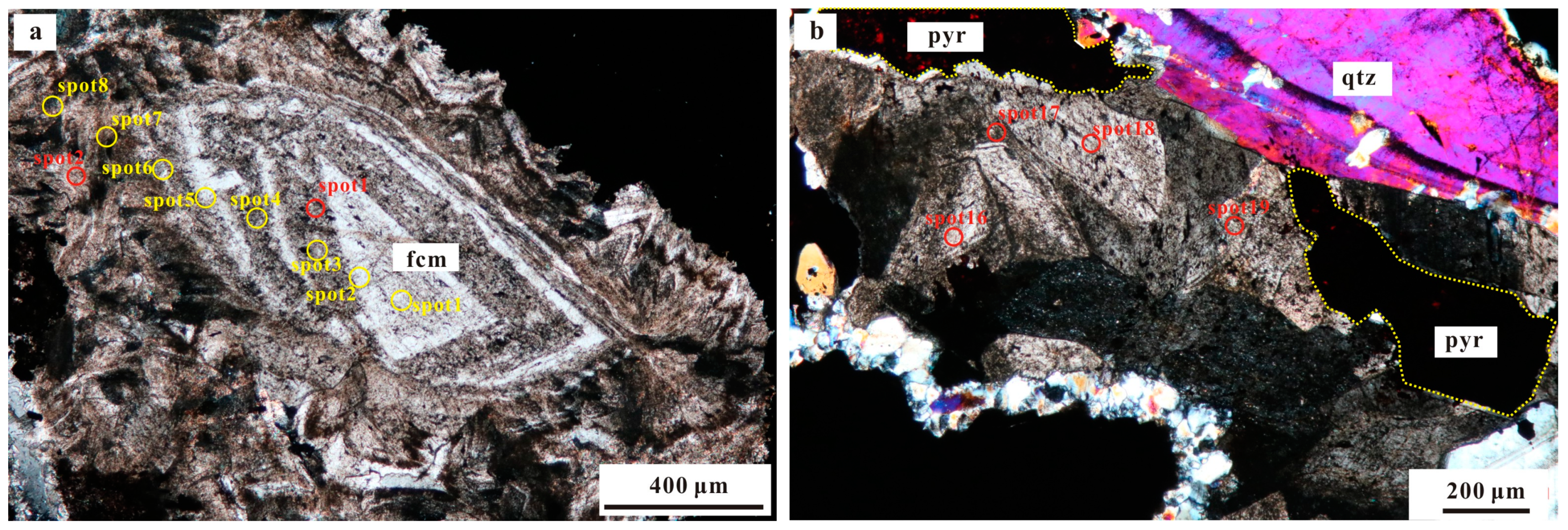 Minerals 14 00655 g005