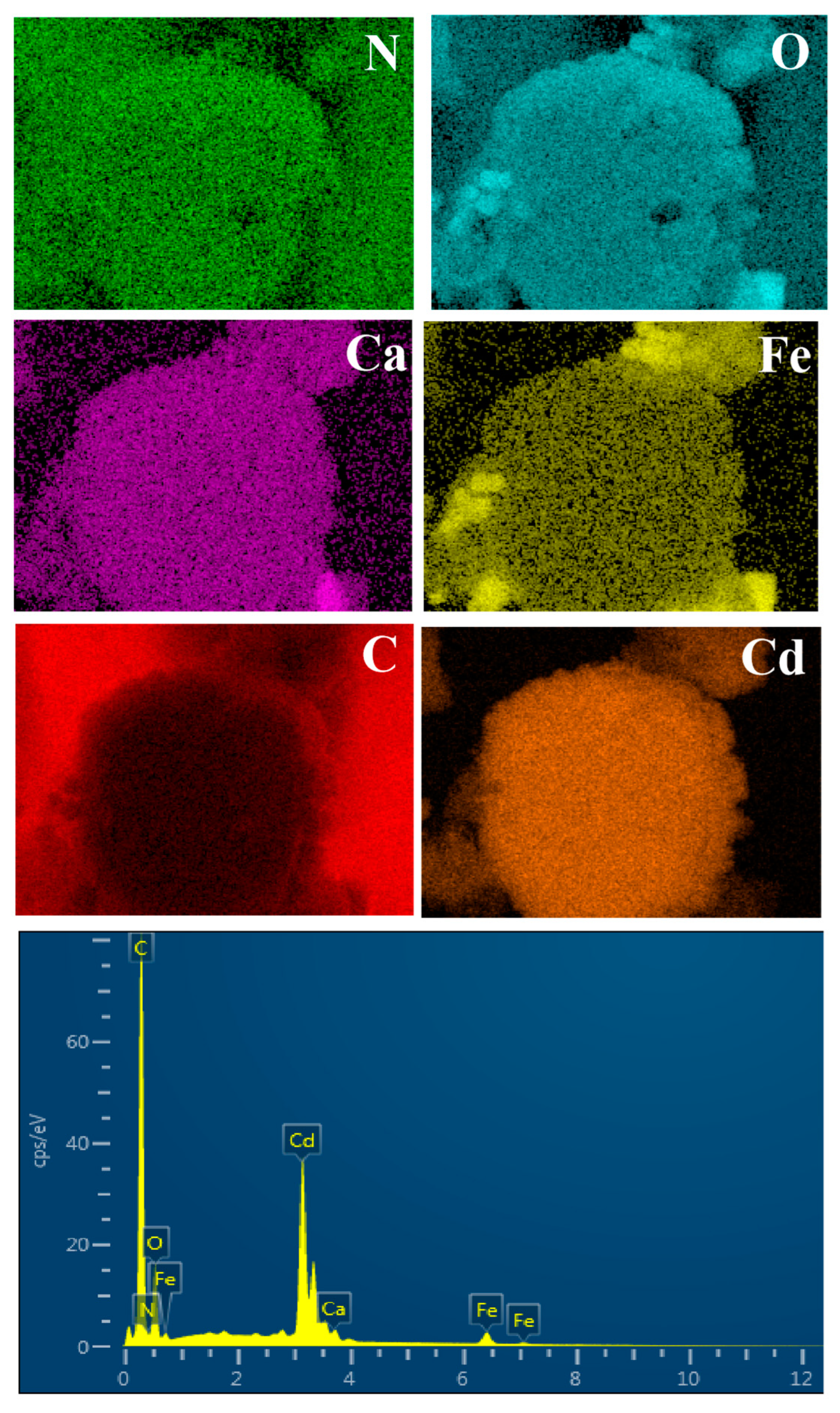 Minerals 14 00656 g011