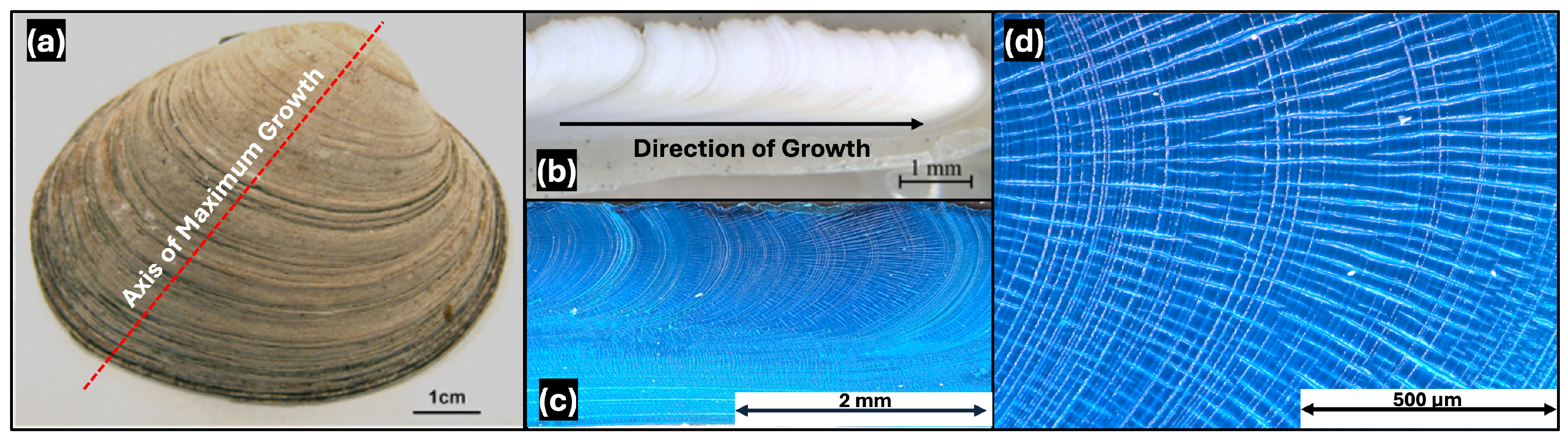 Minerals 14 00682 g001