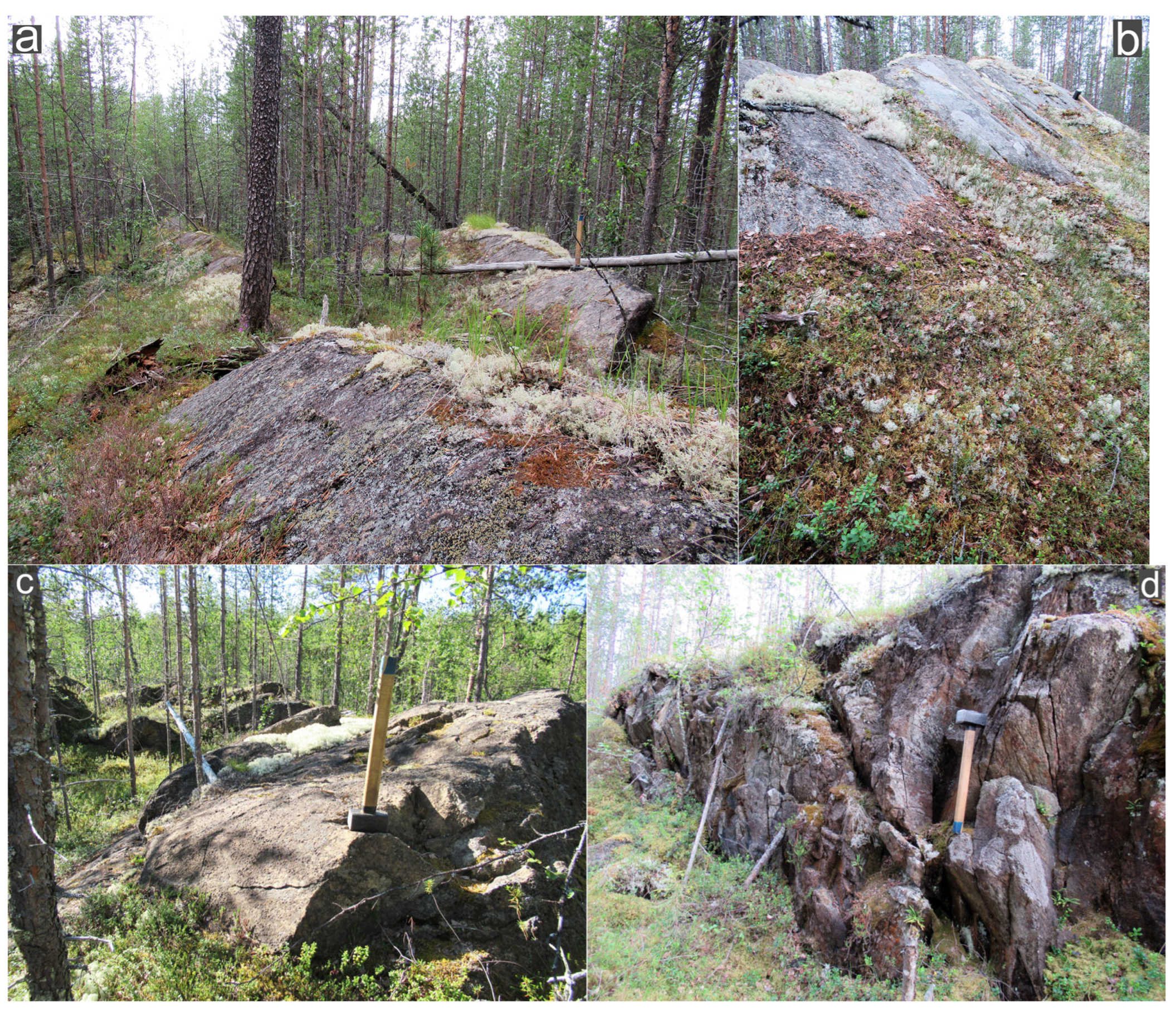 Minerals 14 00685 g004