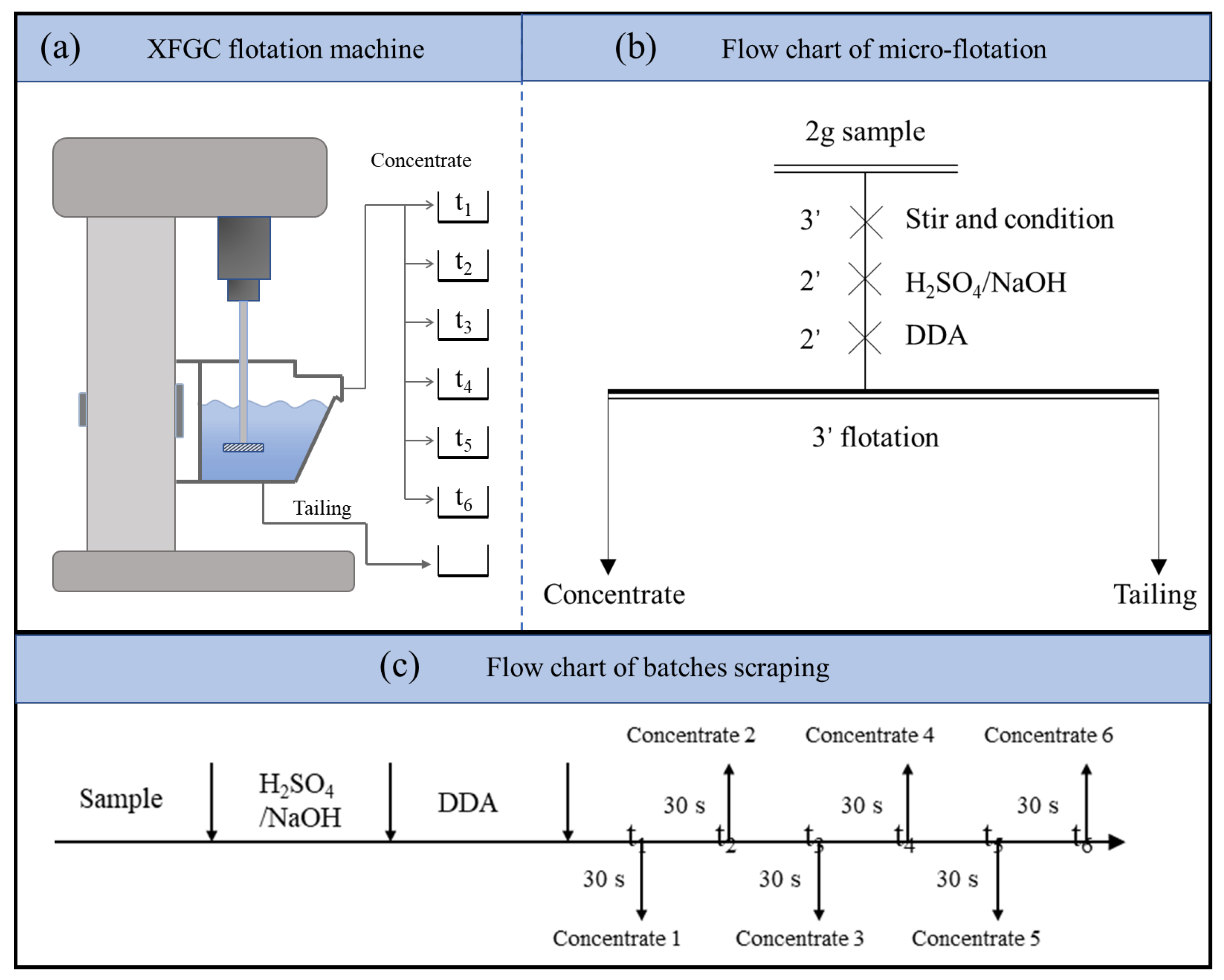 Minerals 14 00694 g004