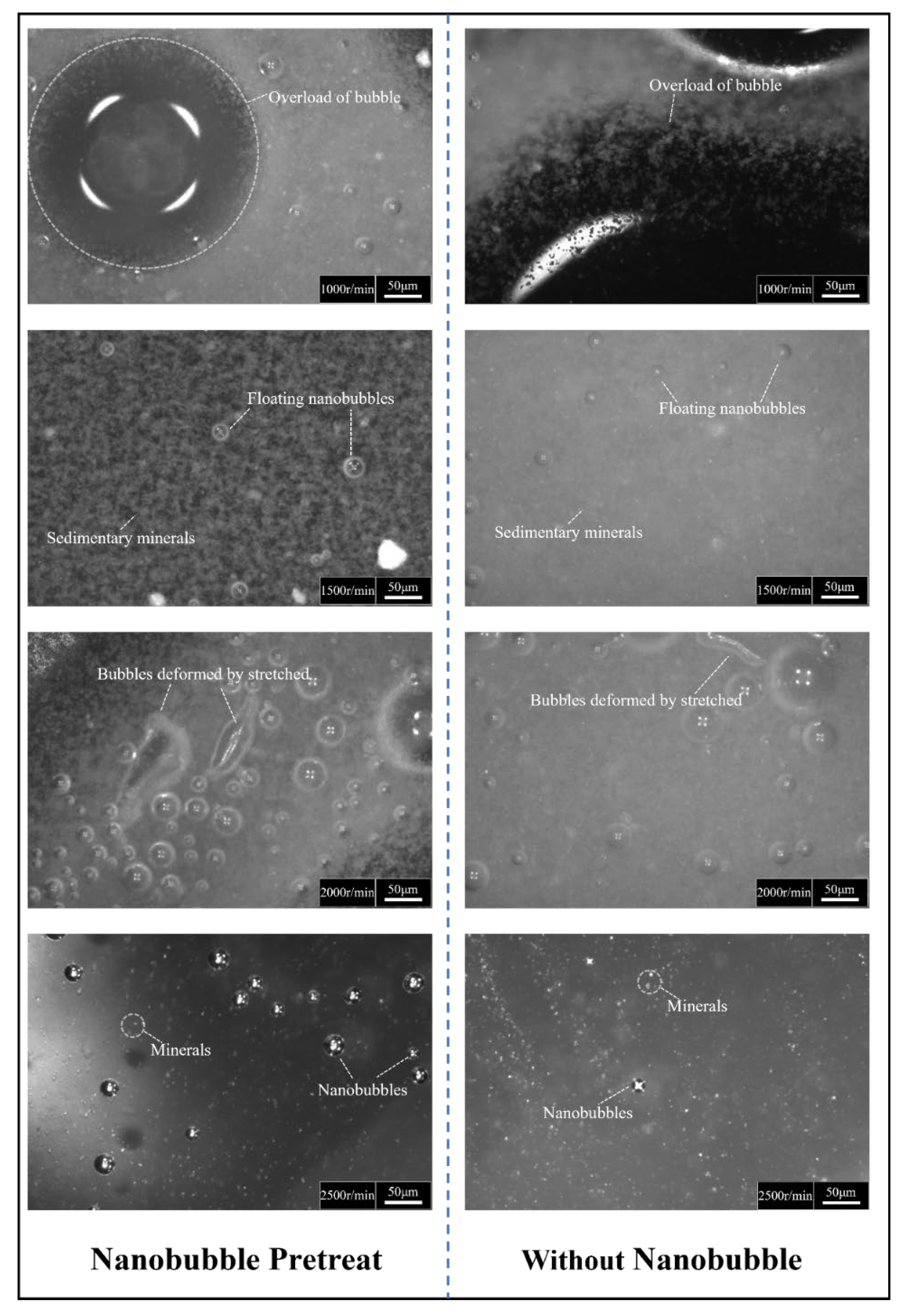 Minerals 14 00694 g008