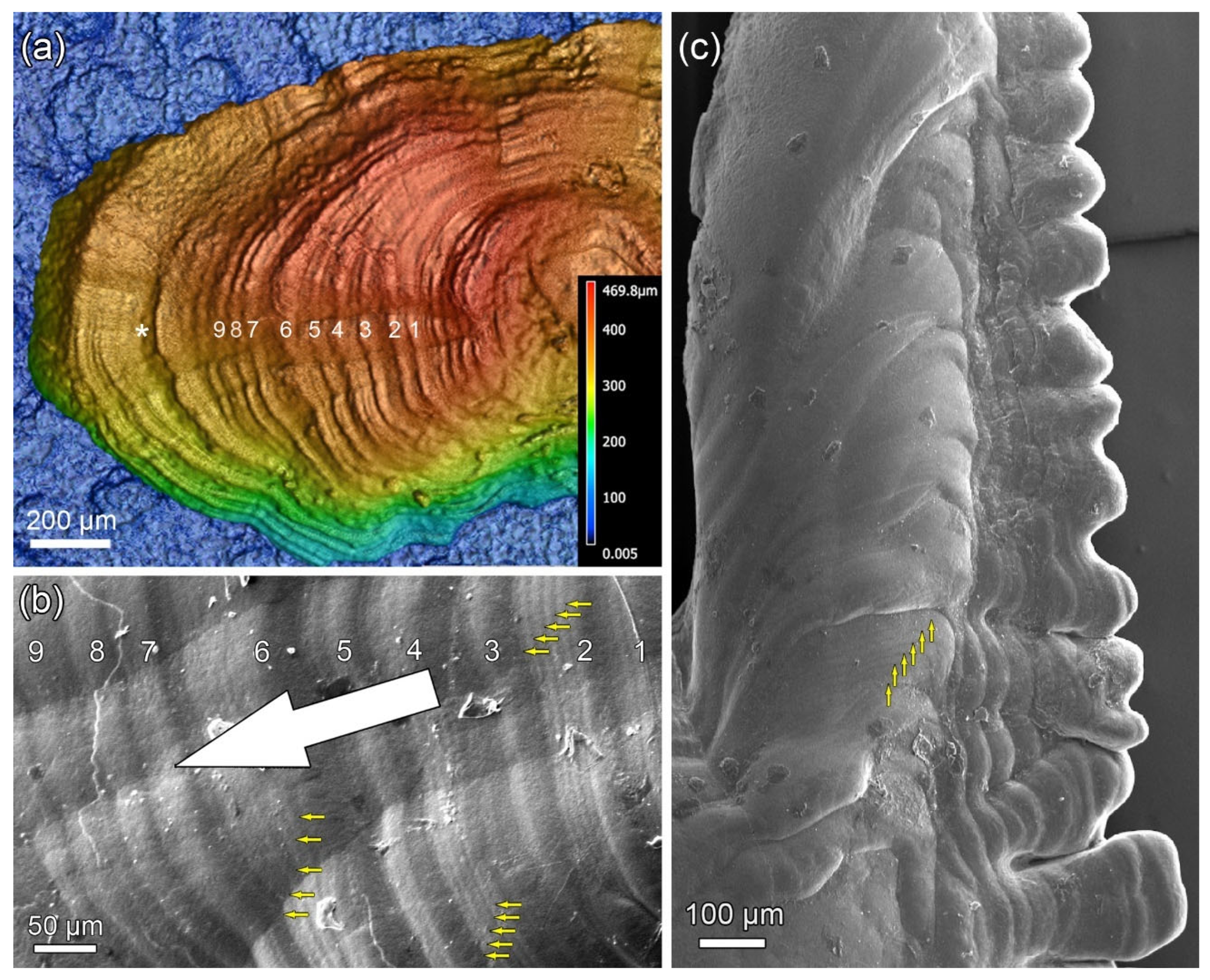 Minerals 14 00705 g002