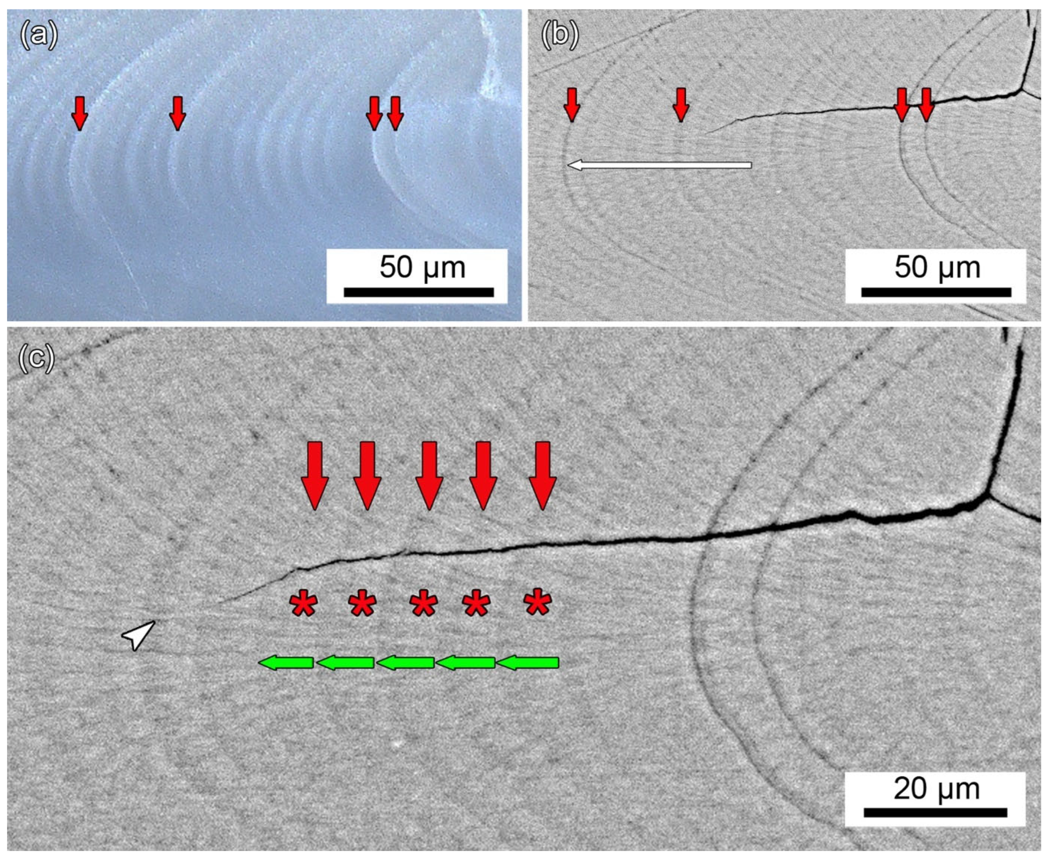 Minerals 14 00705 g006